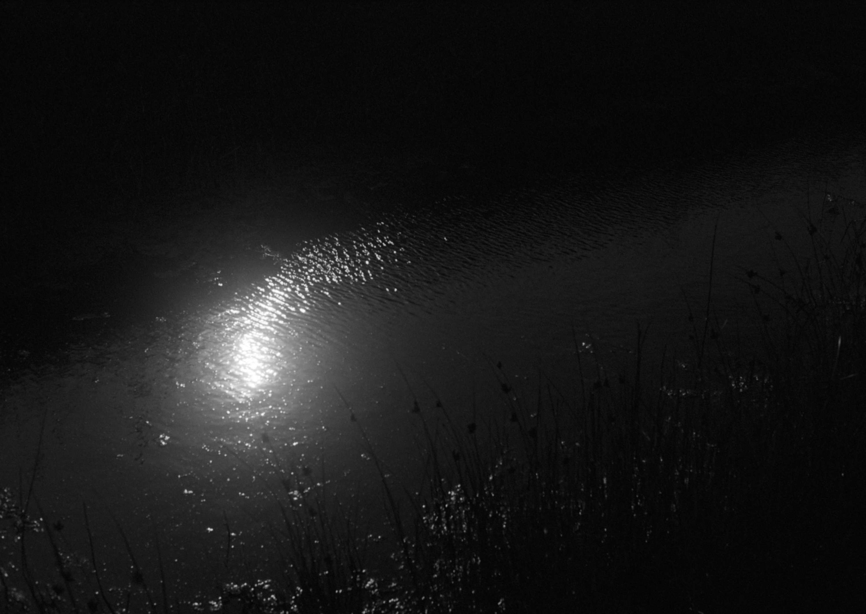 Ambient 4 : On Land by Simon Bray
