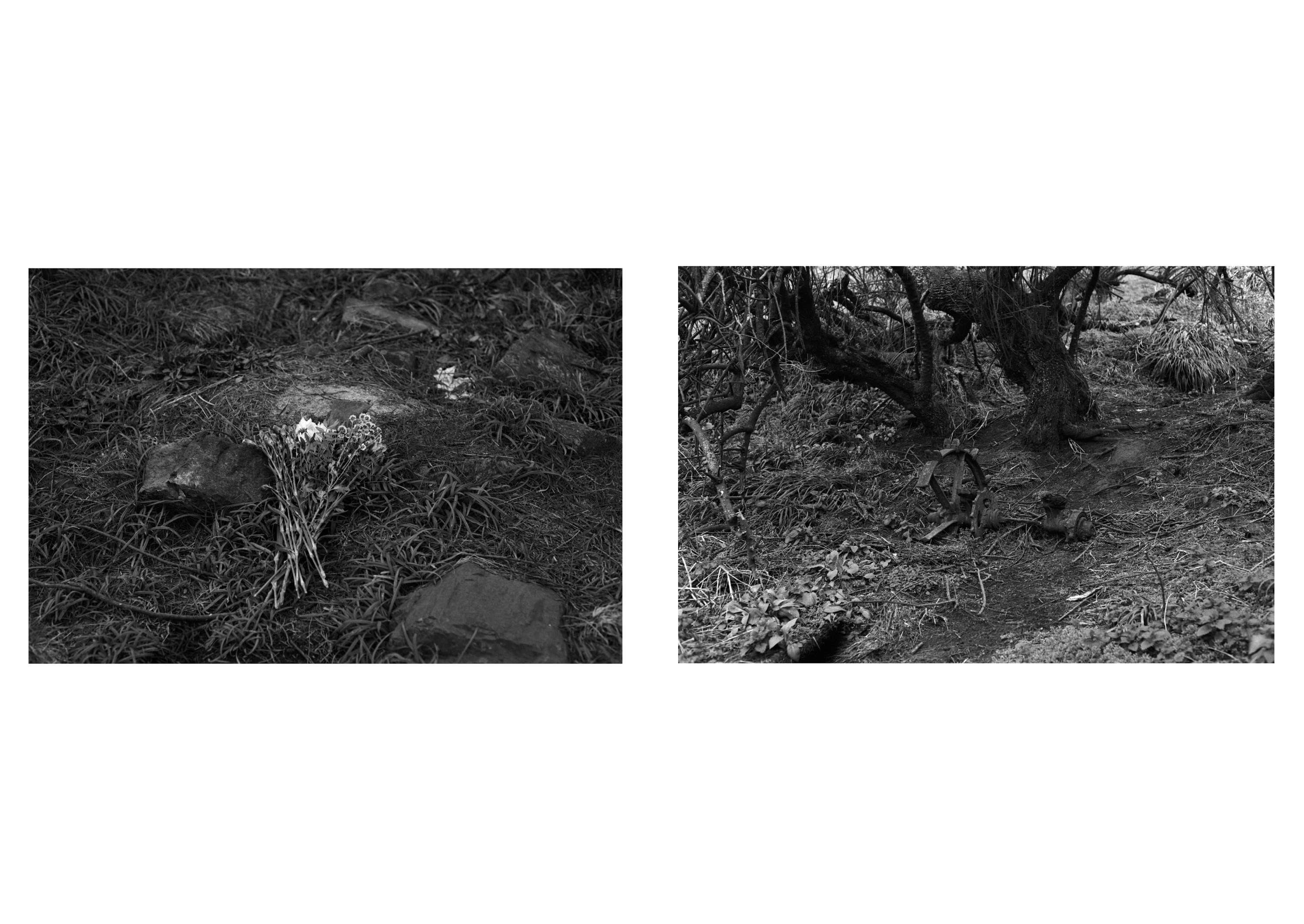 Ambient 4 : On Land by Simon Bray