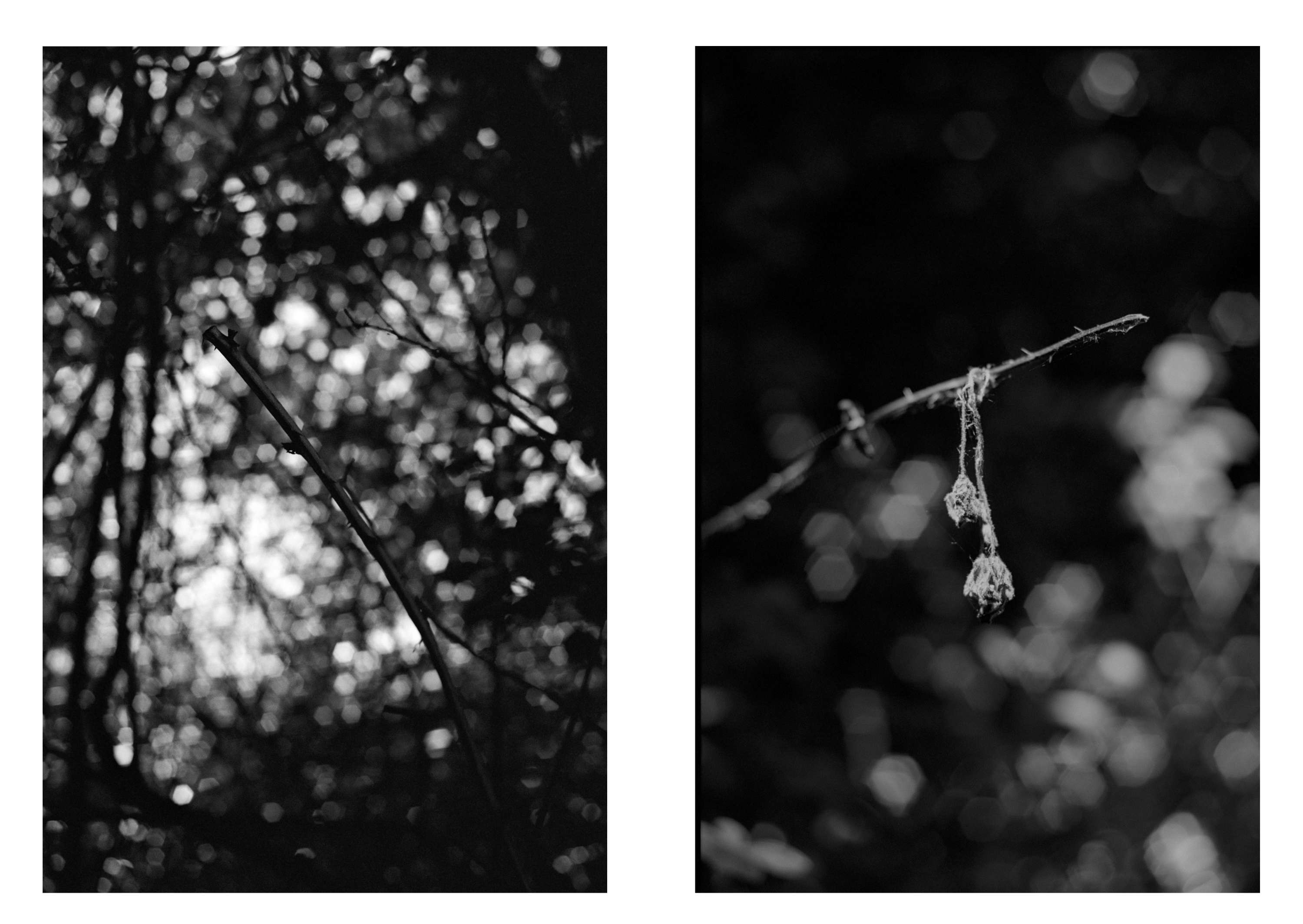 Ambient 4 : On Land by Simon Bray