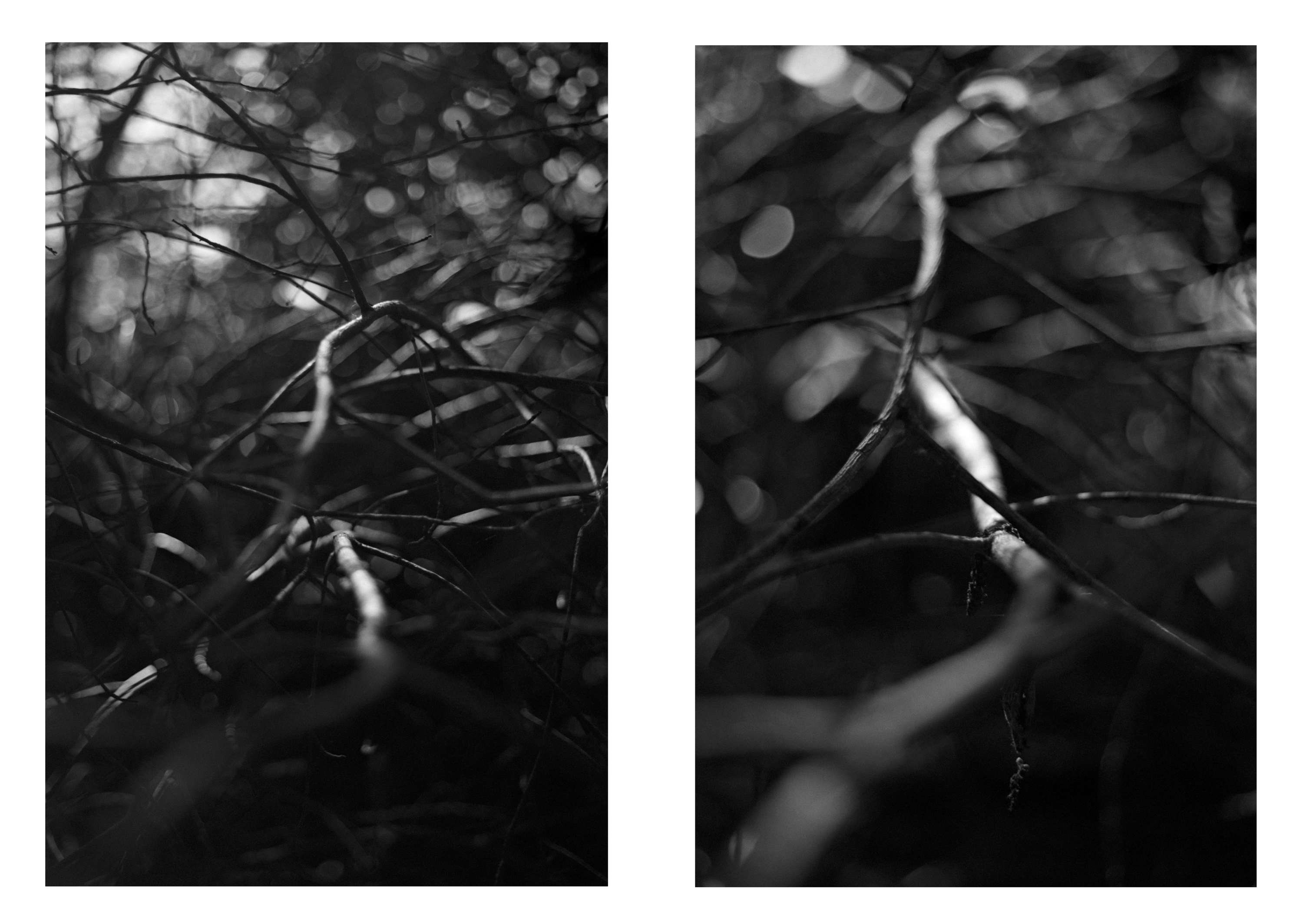 Ambient 4 : On Land by Simon Bray