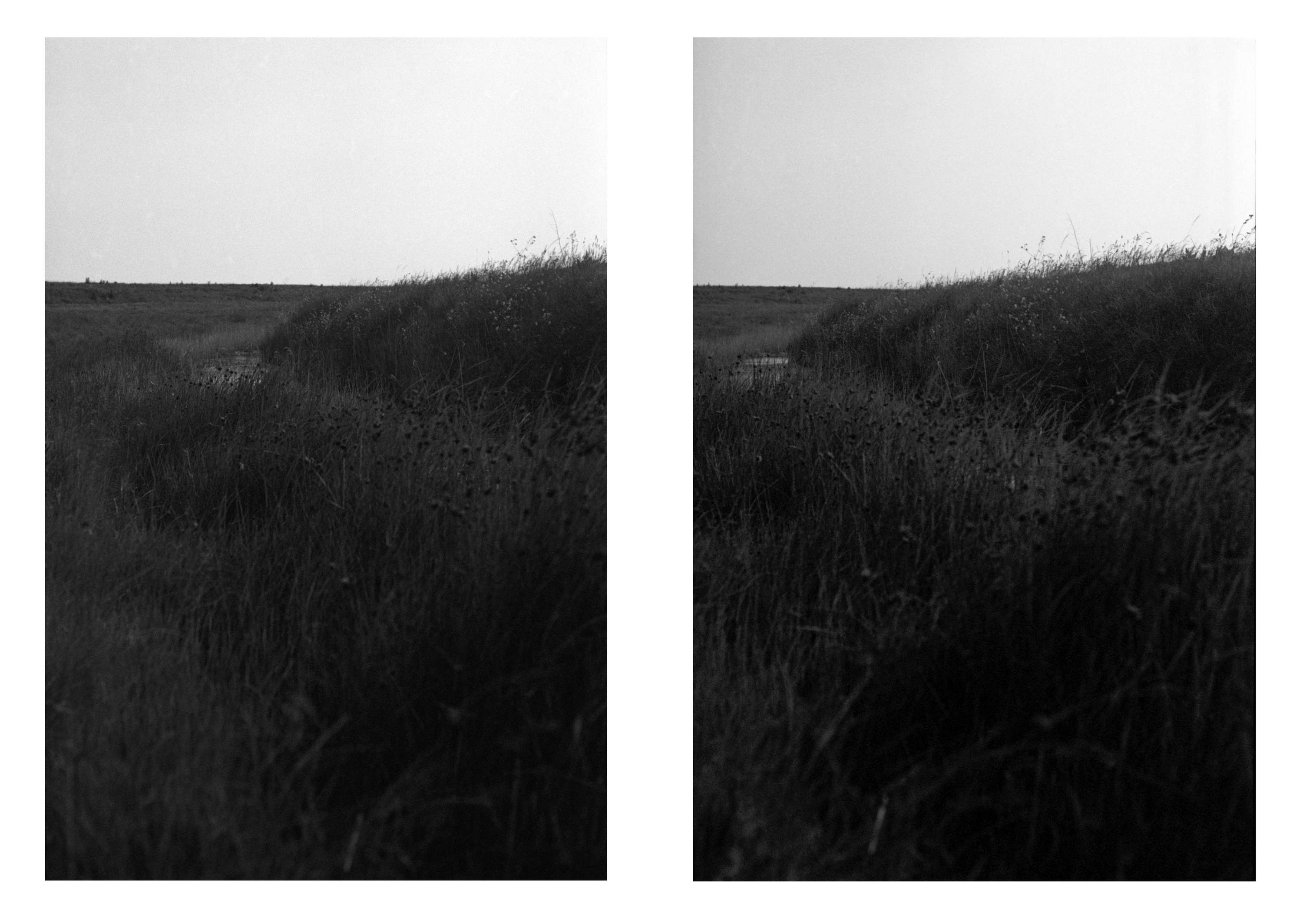 Ambient 4 : On Land by Simon Bray