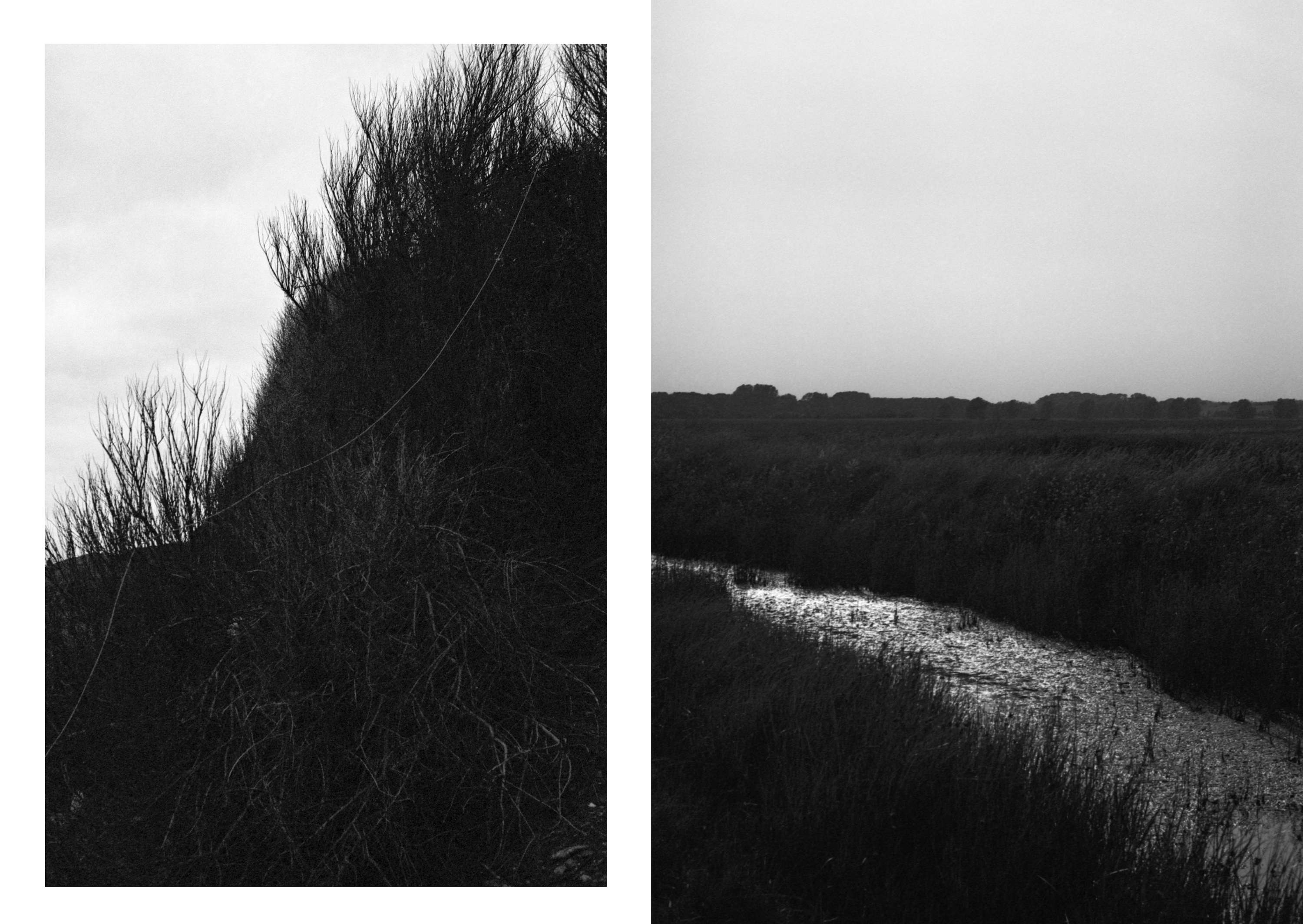 Ambient 4 : On Land by Simon Bray