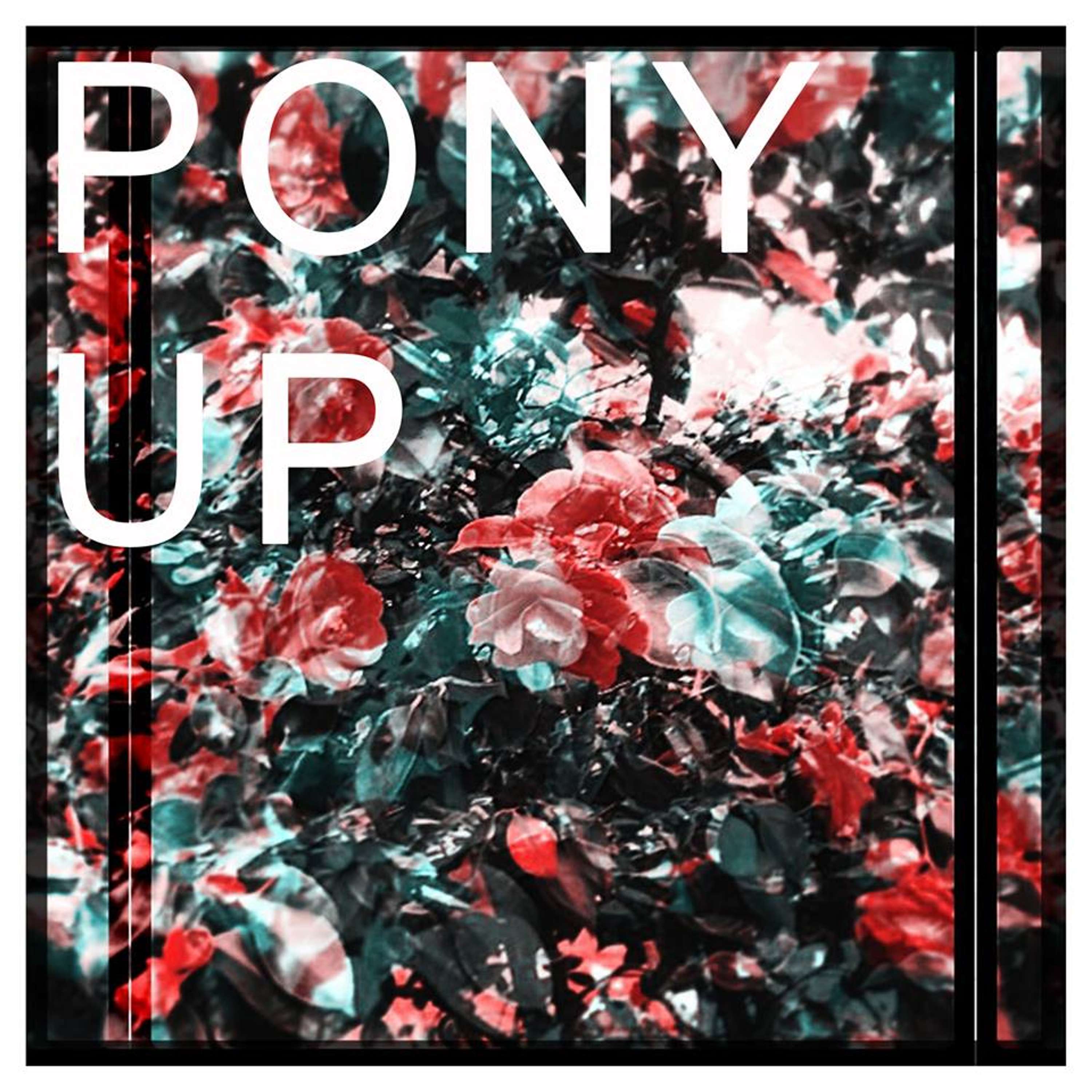 Pony Up by Rosie Arnold