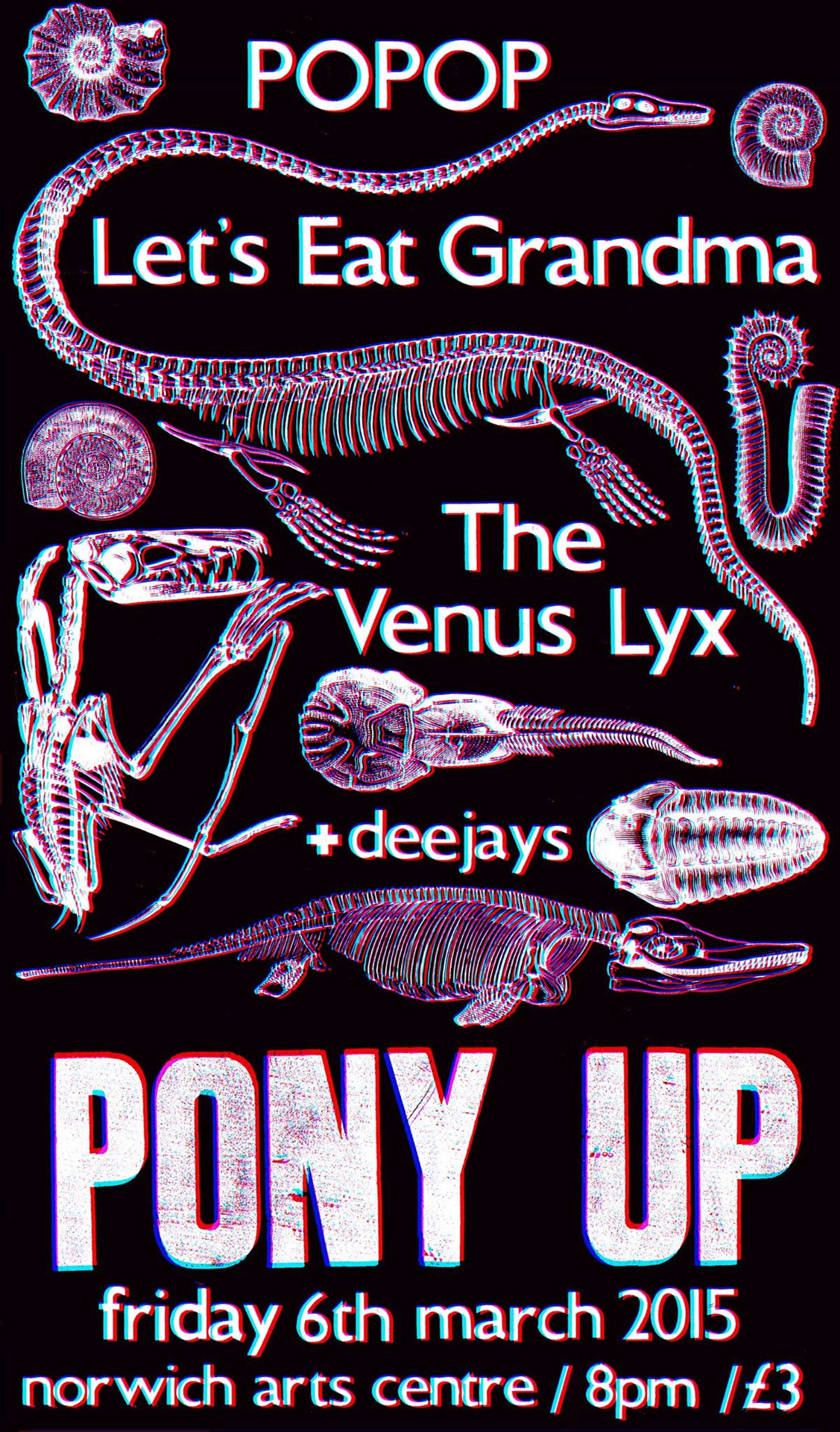 Pony Up by Rosie Arnold