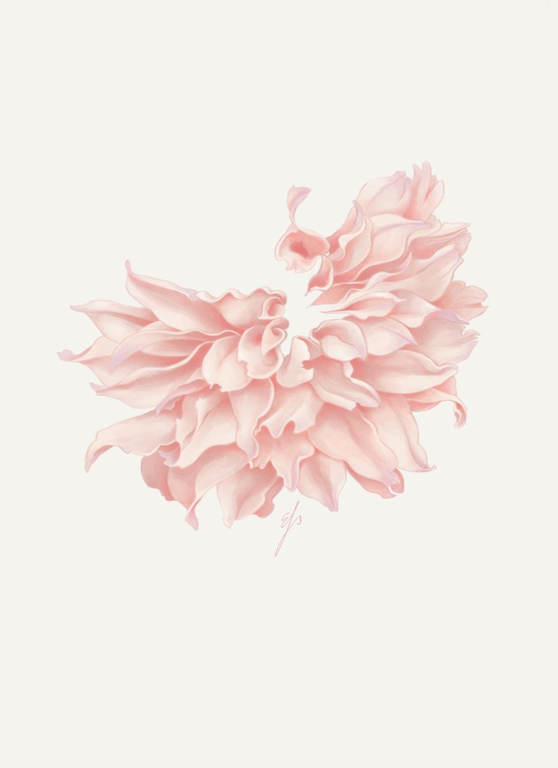 Dahlia by Eleanor Spanton