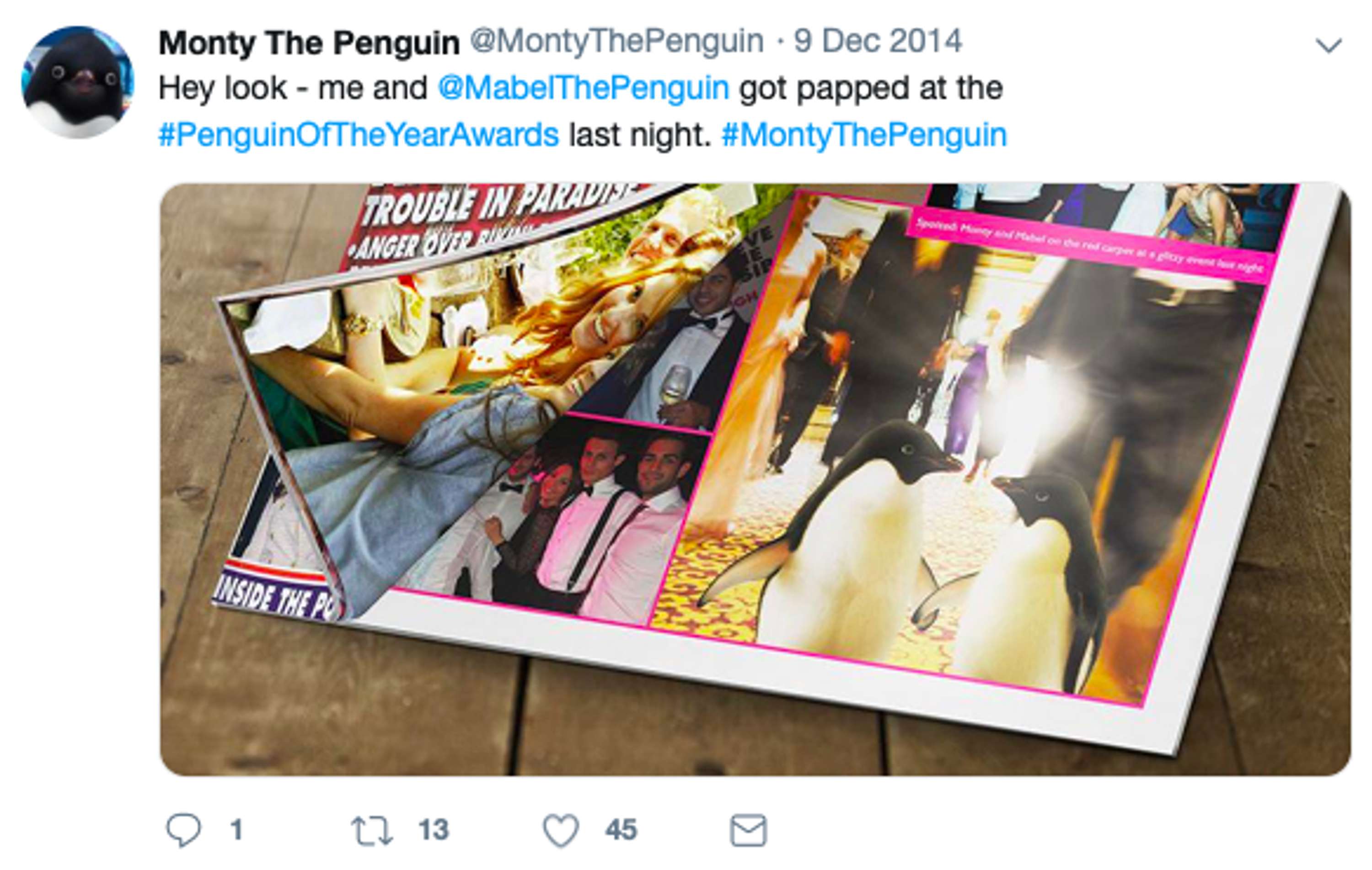 John Lewis Christmas: Monty the Penguin by Viki Bingham