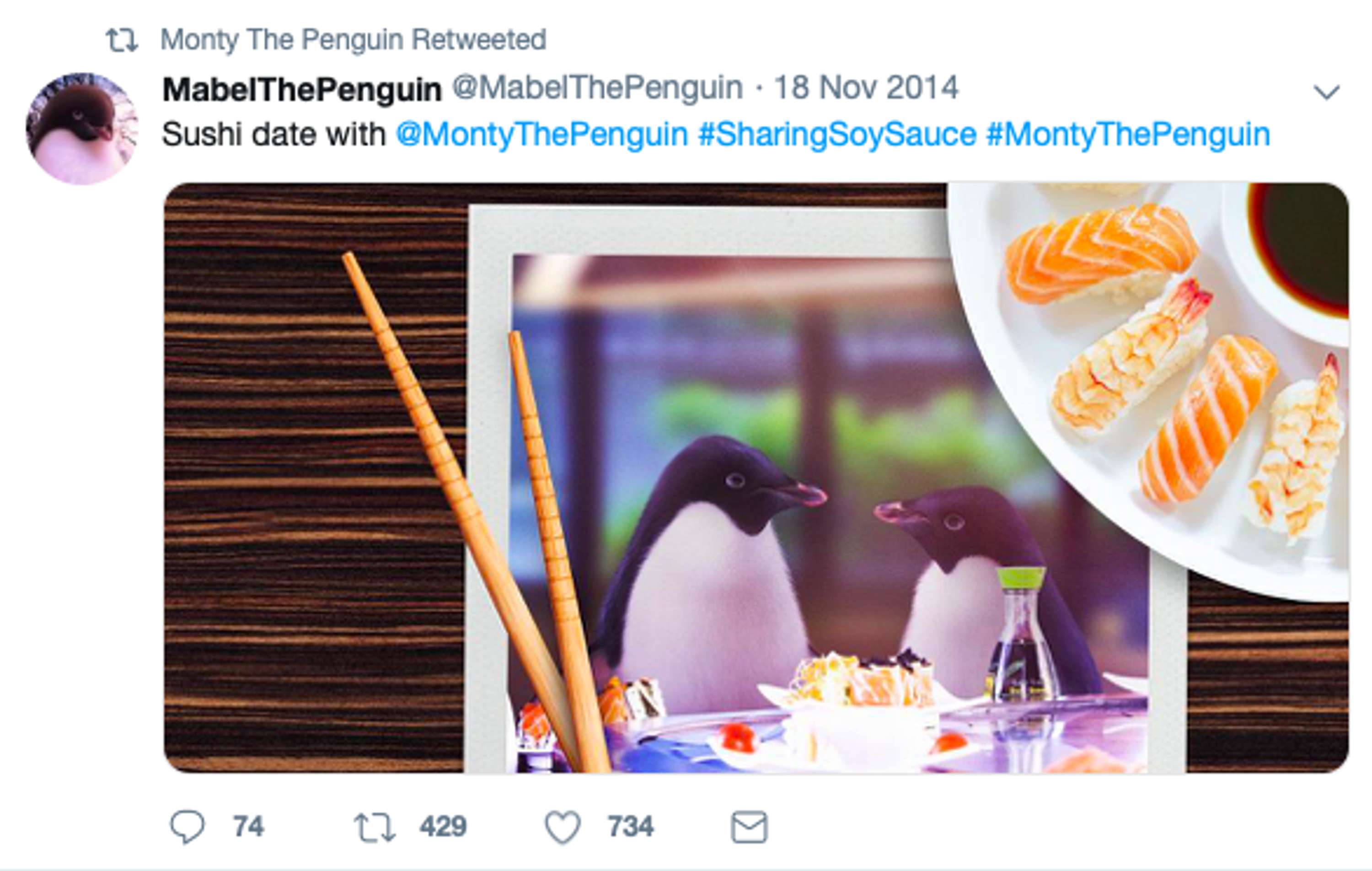 John Lewis Christmas: Monty the Penguin by Viki Bingham