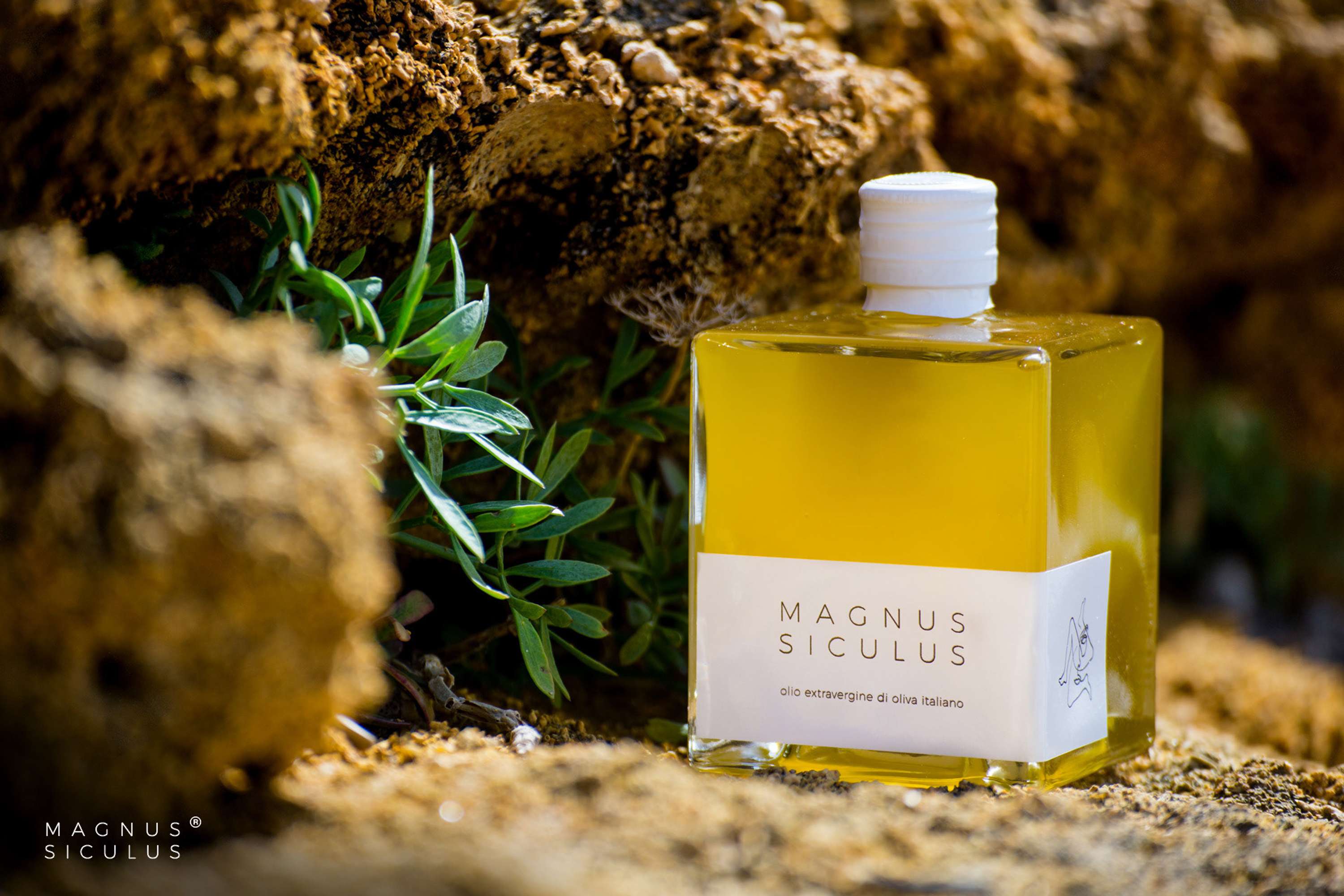Magnus Siculus by Riccardo Curin
