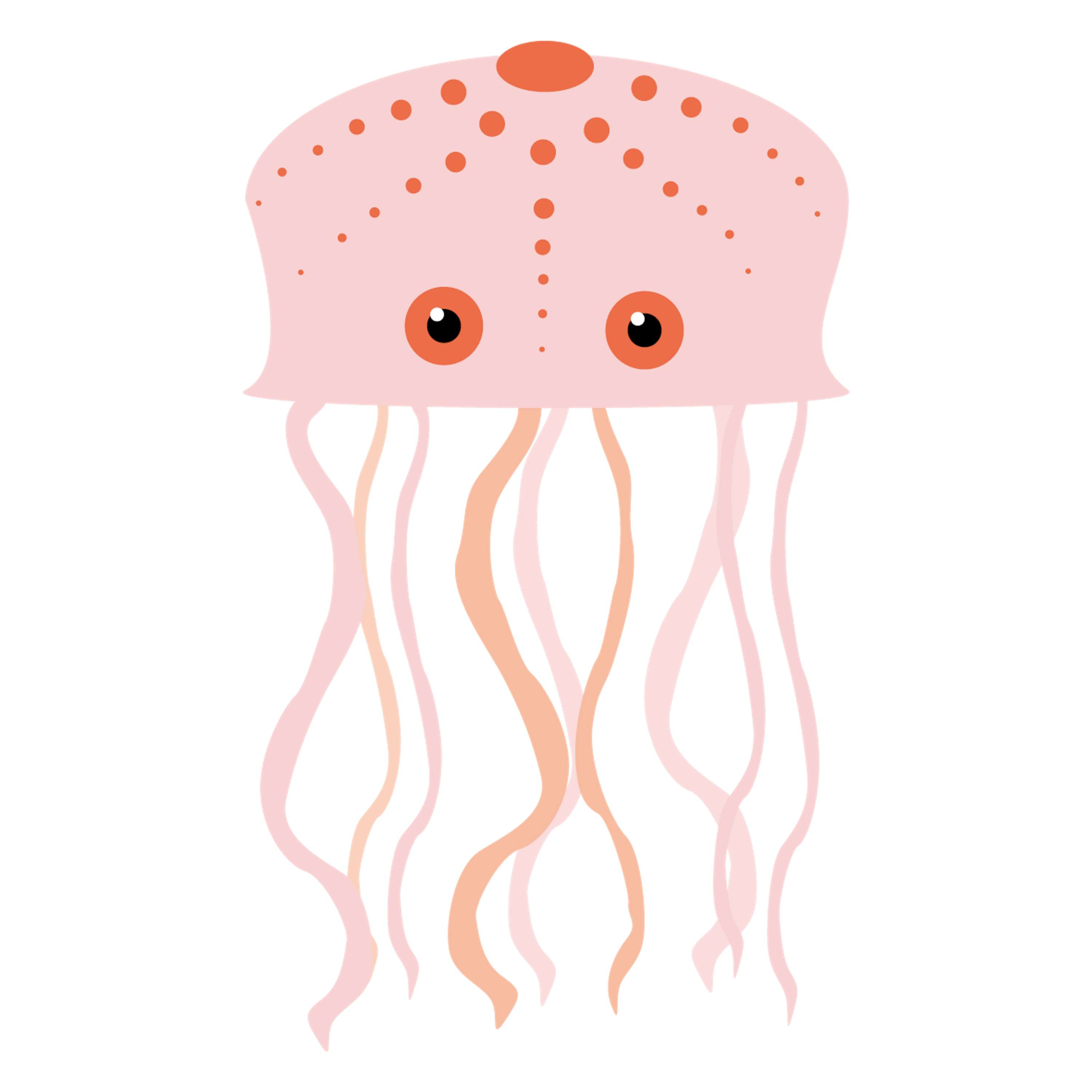 Vector illustrations by Diana Jarvis