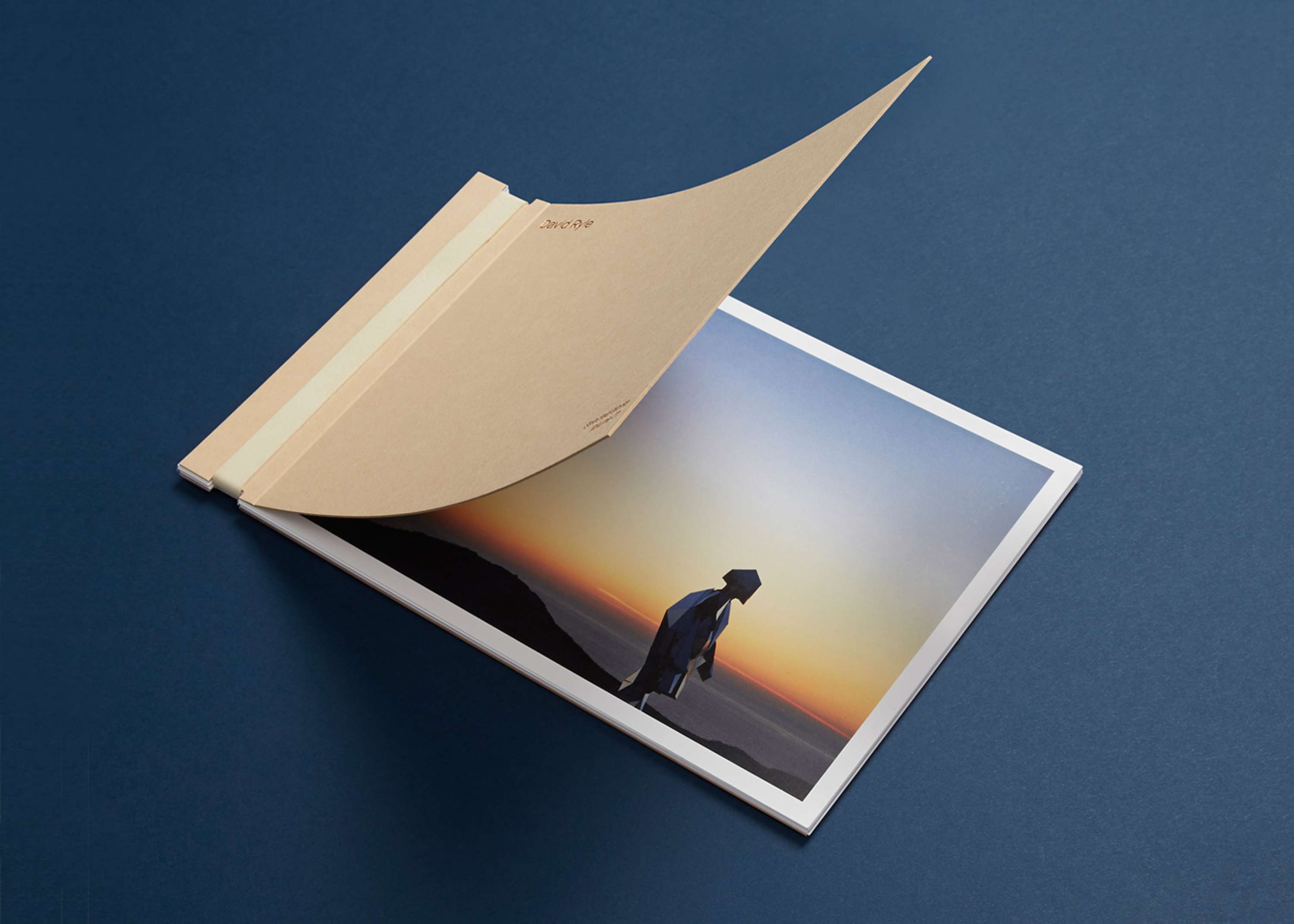 David Ryle Visual Identity by Tom Pollard