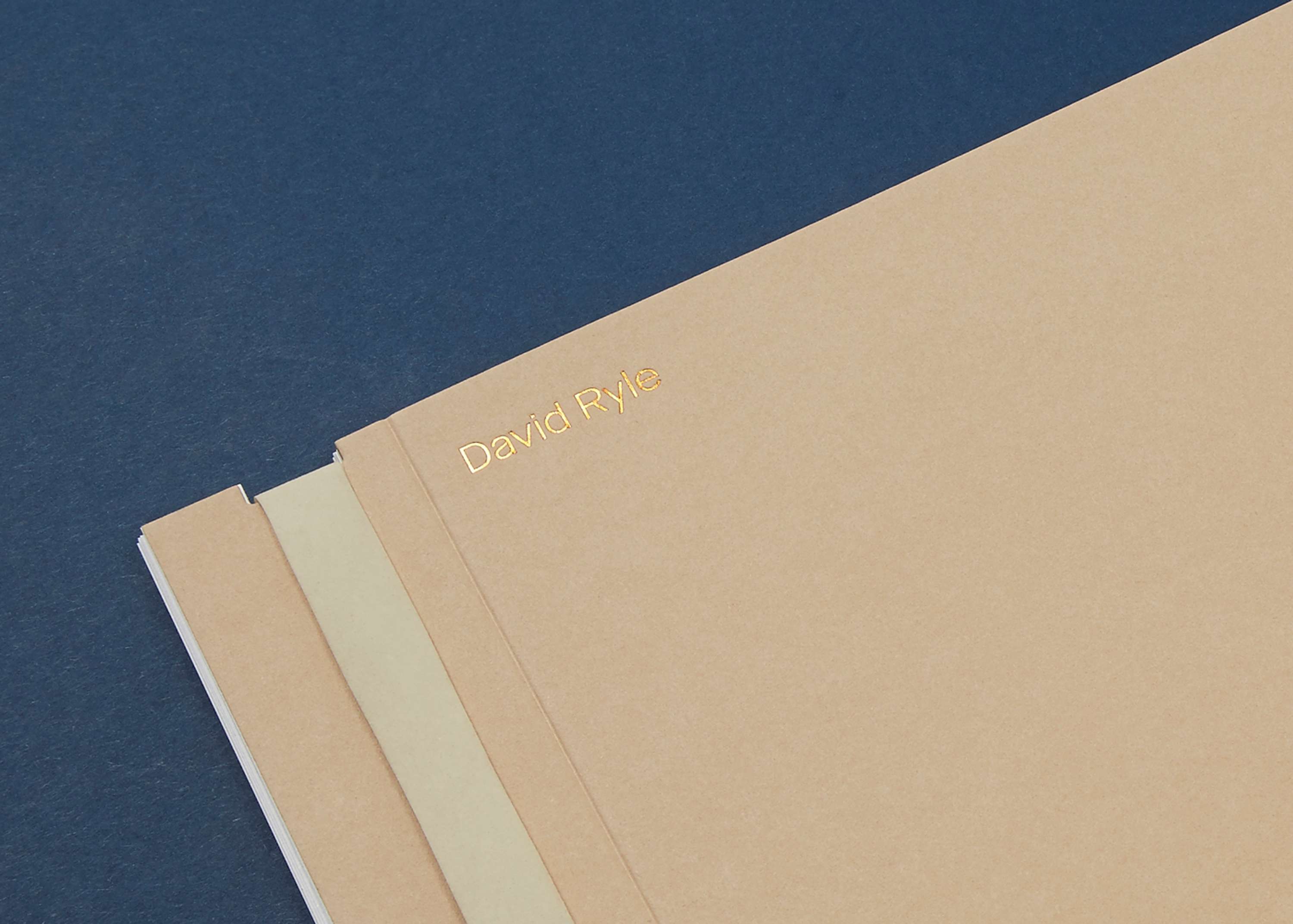David Ryle Visual Identity by Tom Pollard