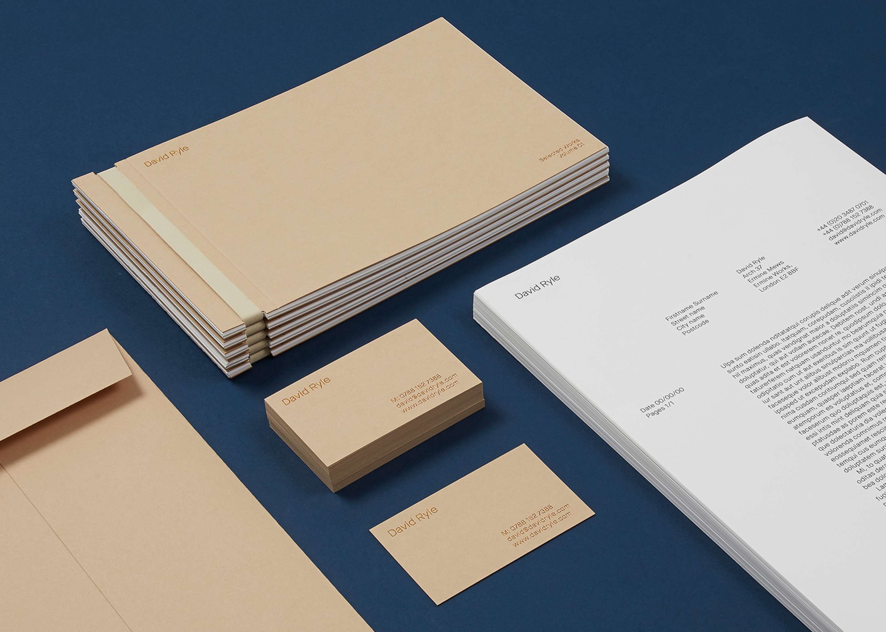 David Ryle Visual Identity by Tom Pollard