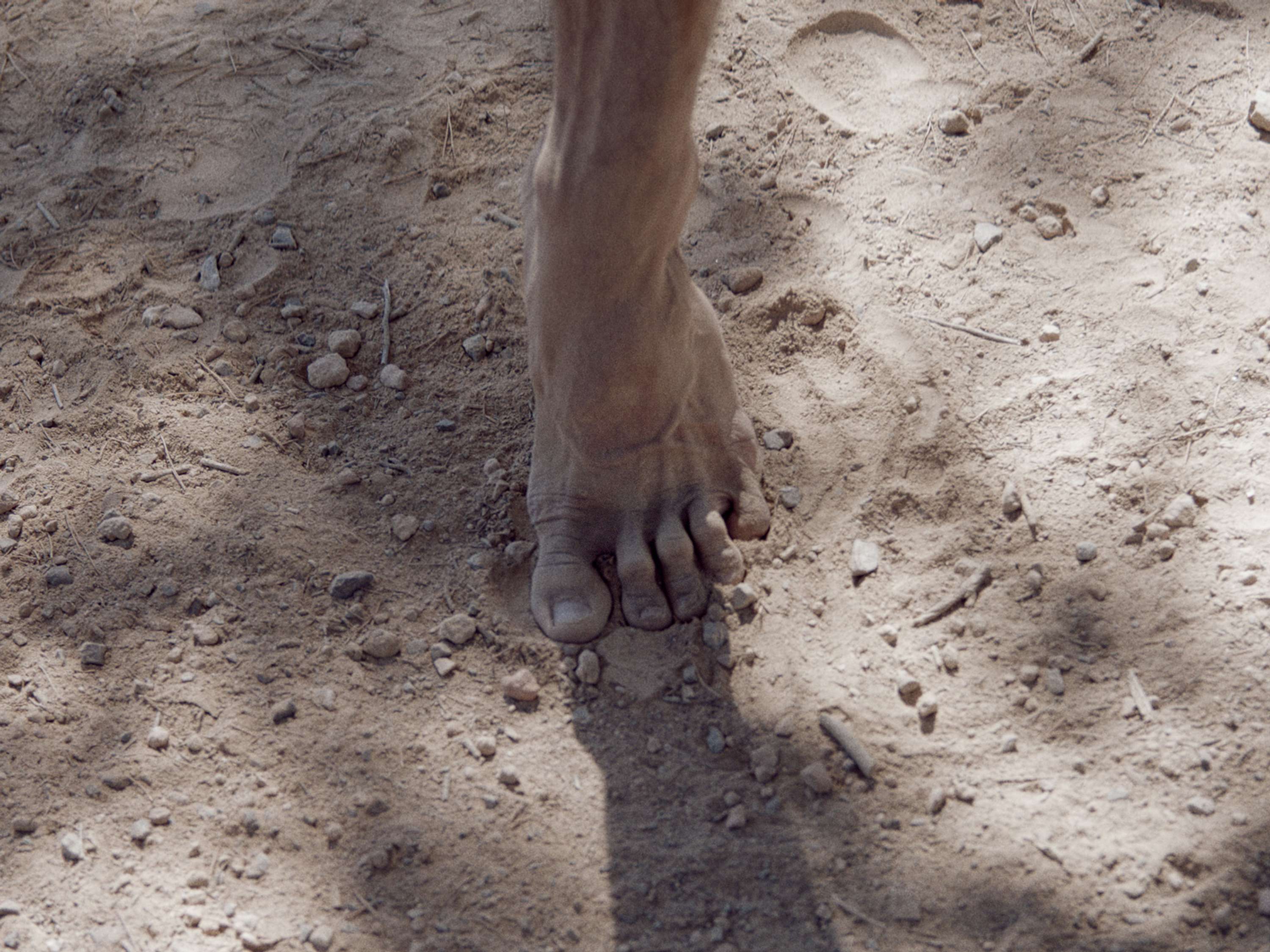 Figure 1 by Bertil Nilsson