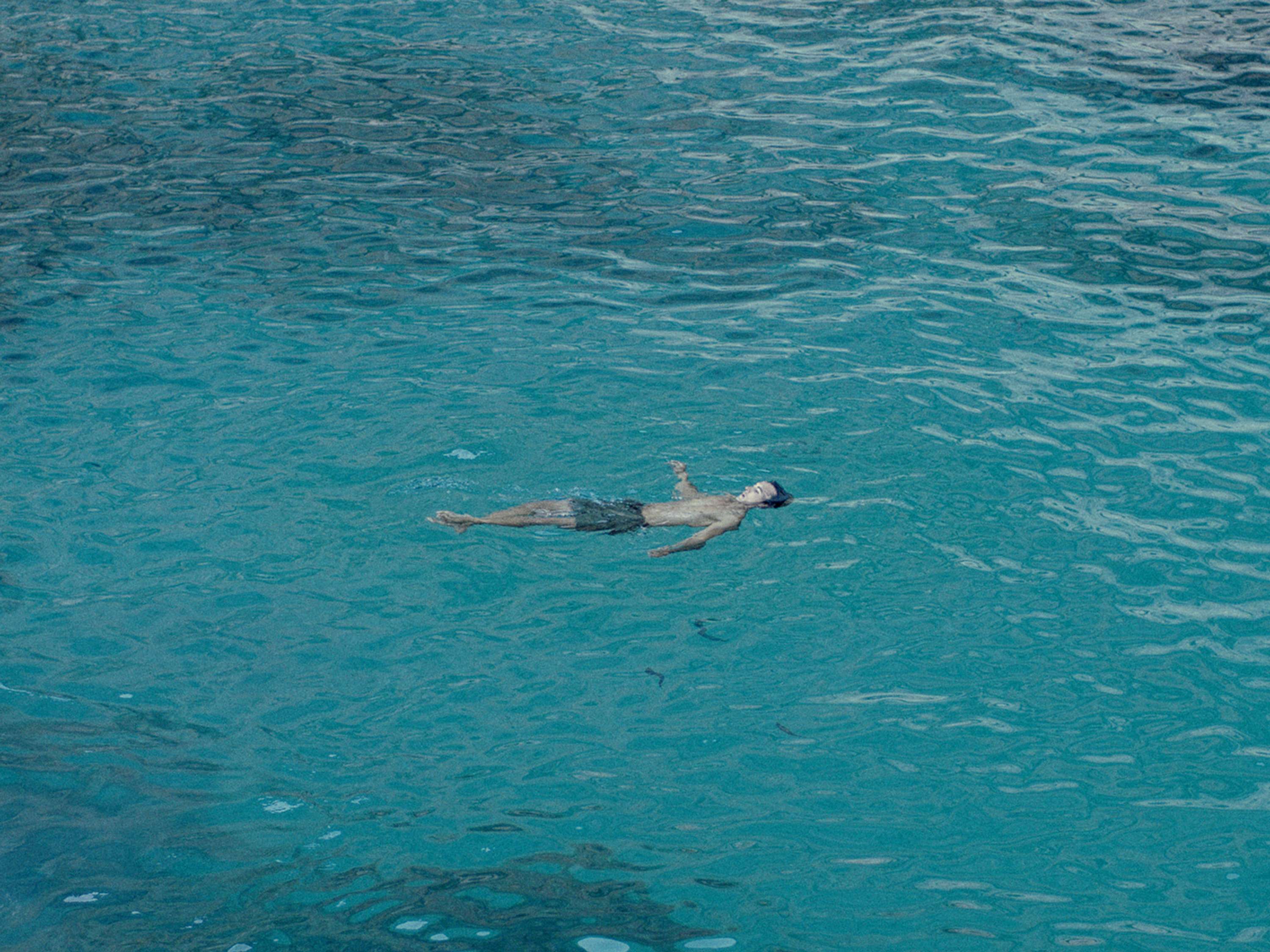 Figure 1 by Bertil Nilsson