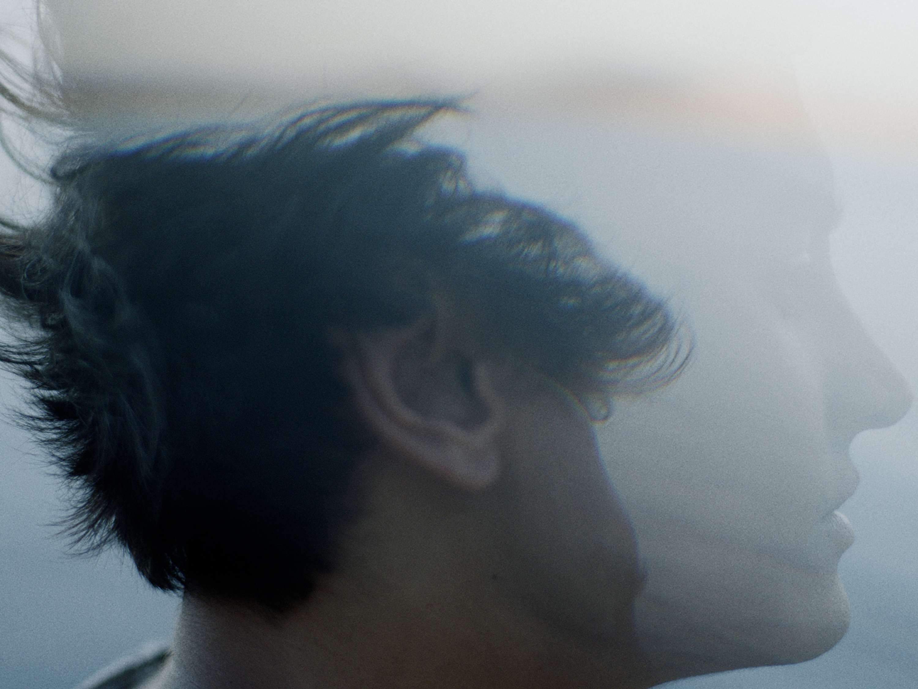 Figure 1 by Bertil Nilsson