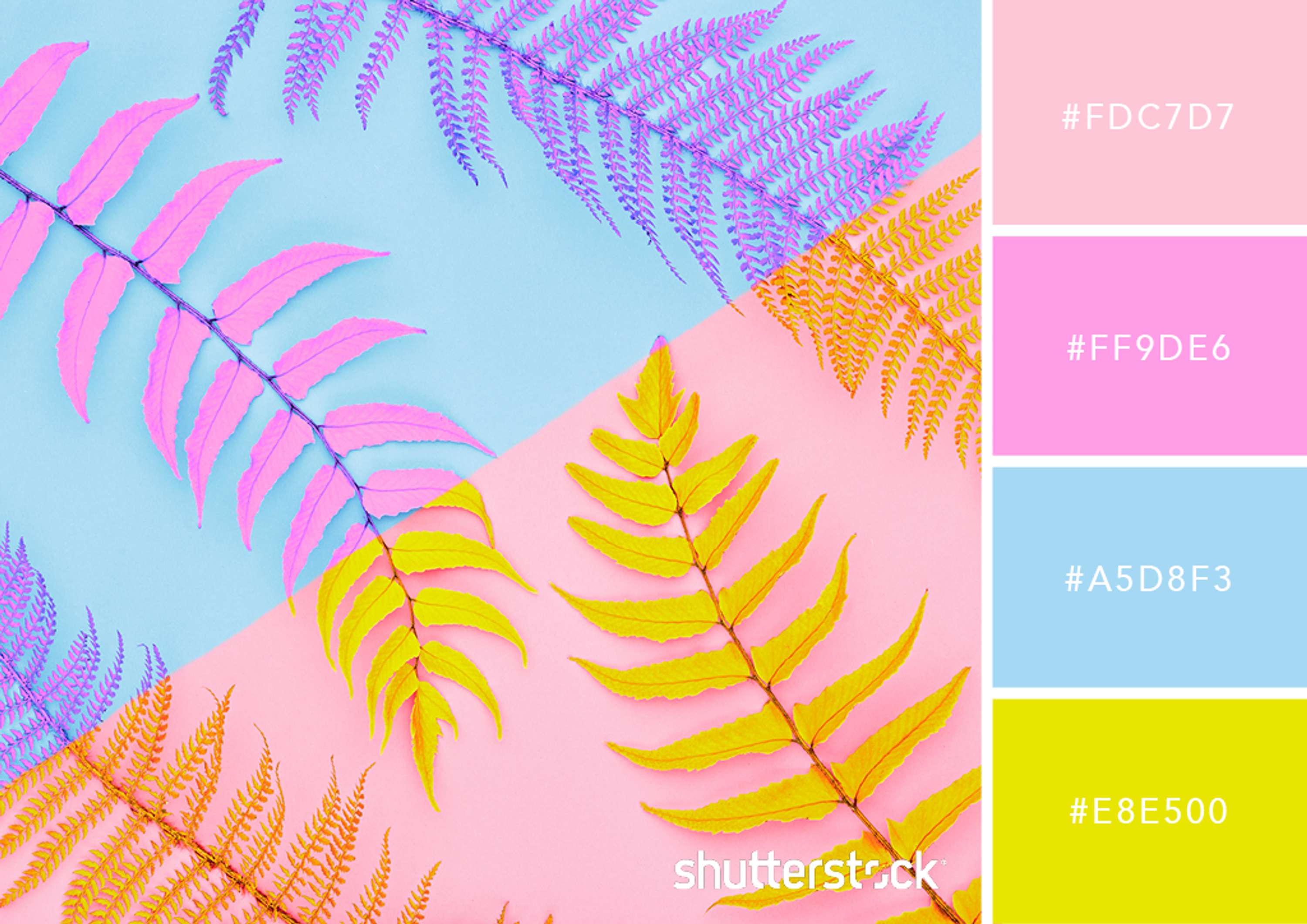 25 Eye Catching Neon Color Palettes To Wow Your Viewers The Dots