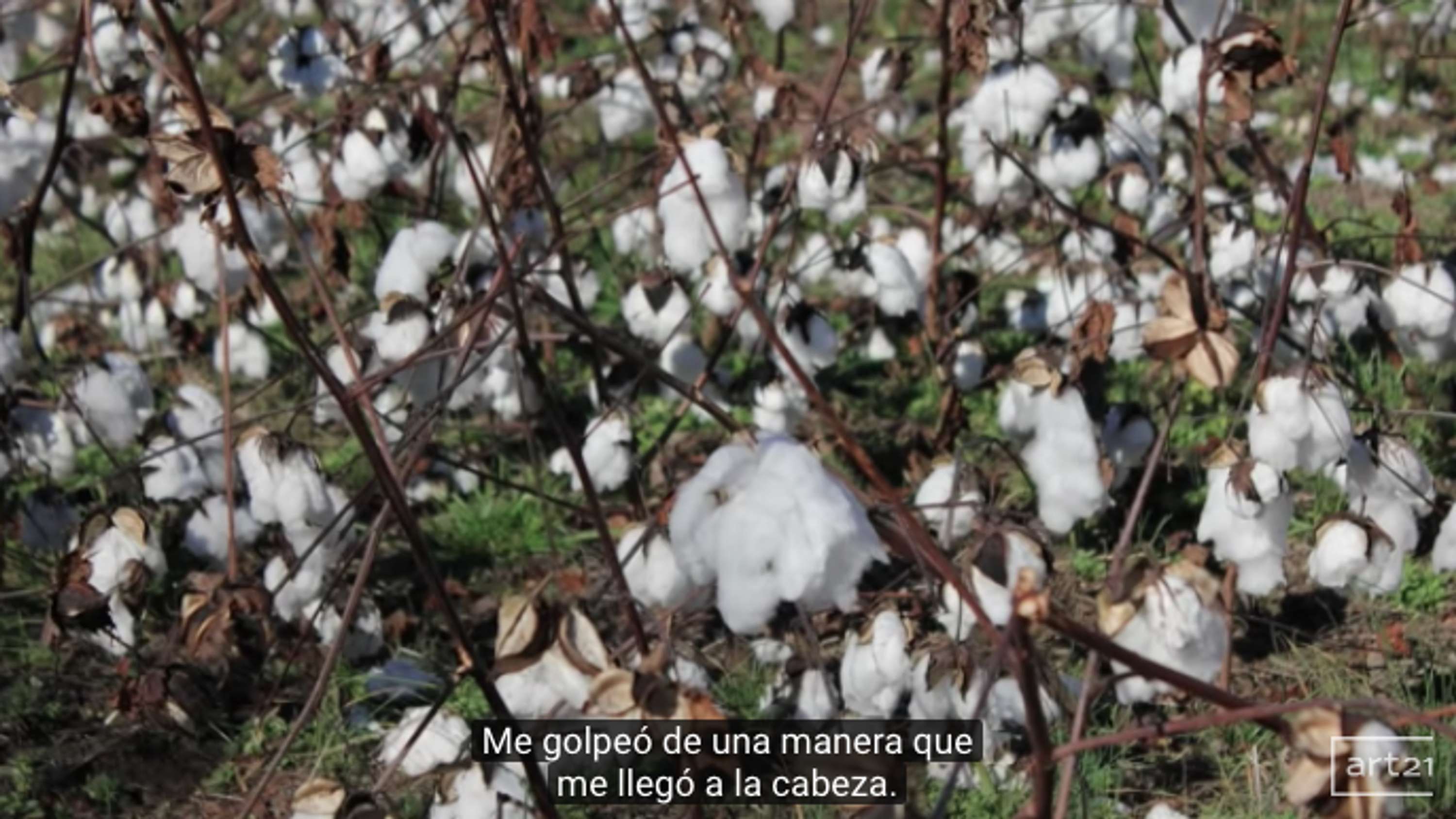 Creating Spanish subtitles for Art21 by Iris María
