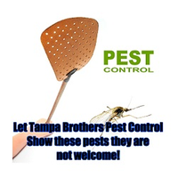 Tampa Brothers Pest Control logo
