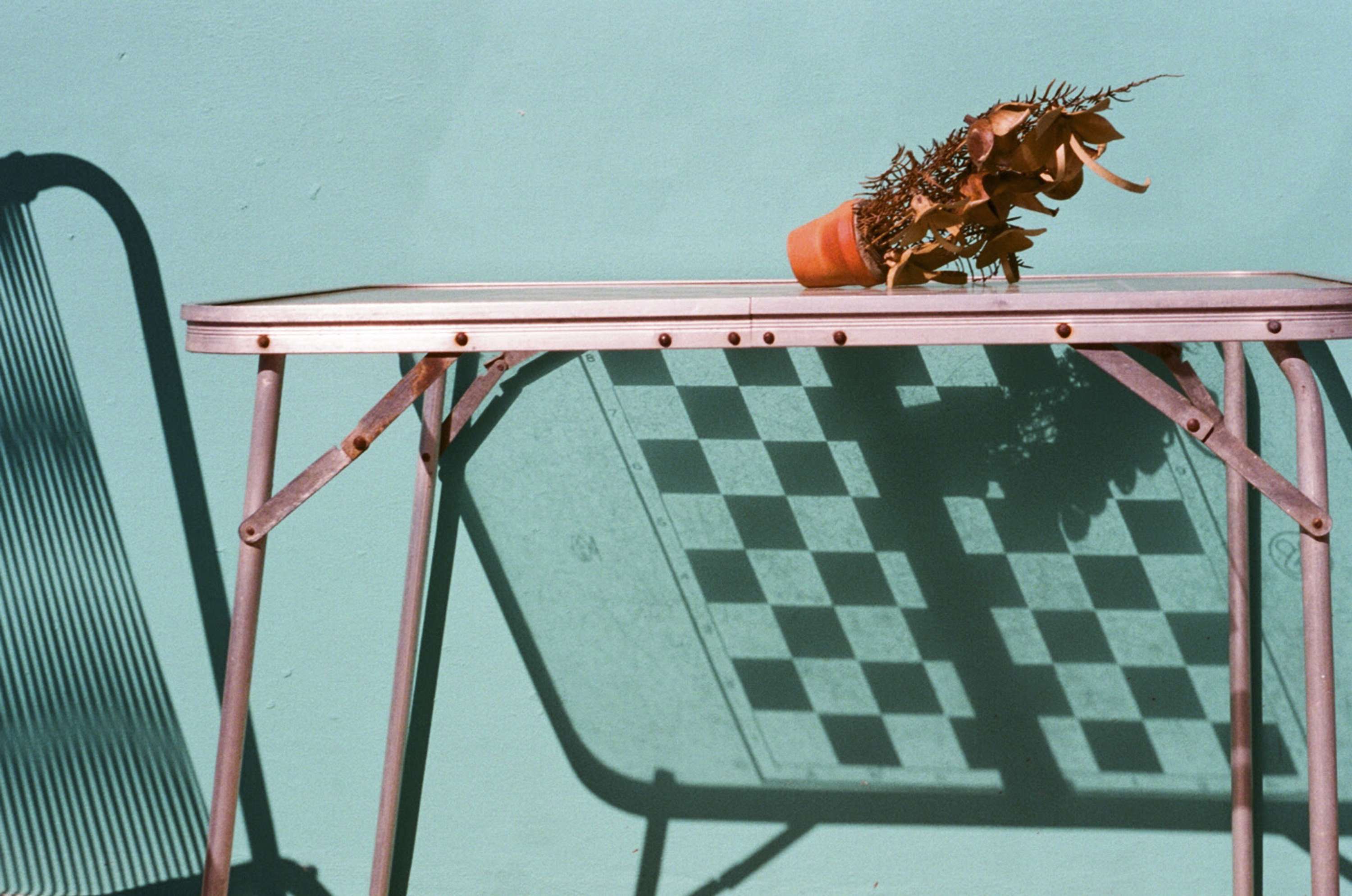 10 Questions with Studio Artist Imogen Forte by Bridgeman Images