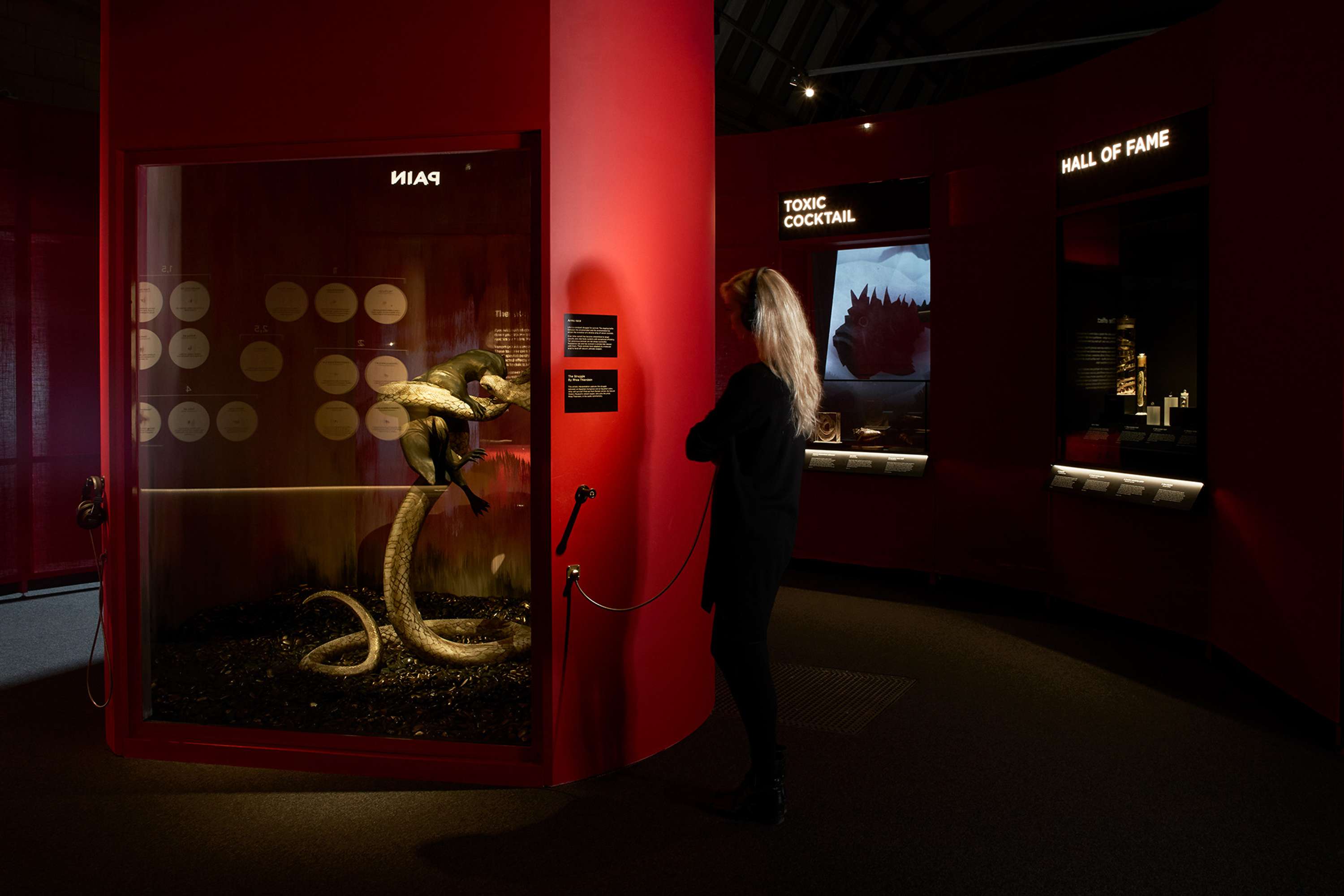 Venom by Margot Lombaert