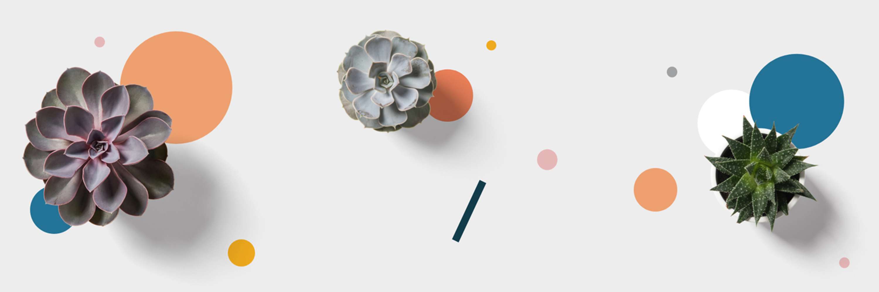 Pollen Place | Brand Identity & Website Design by Neil Quinn