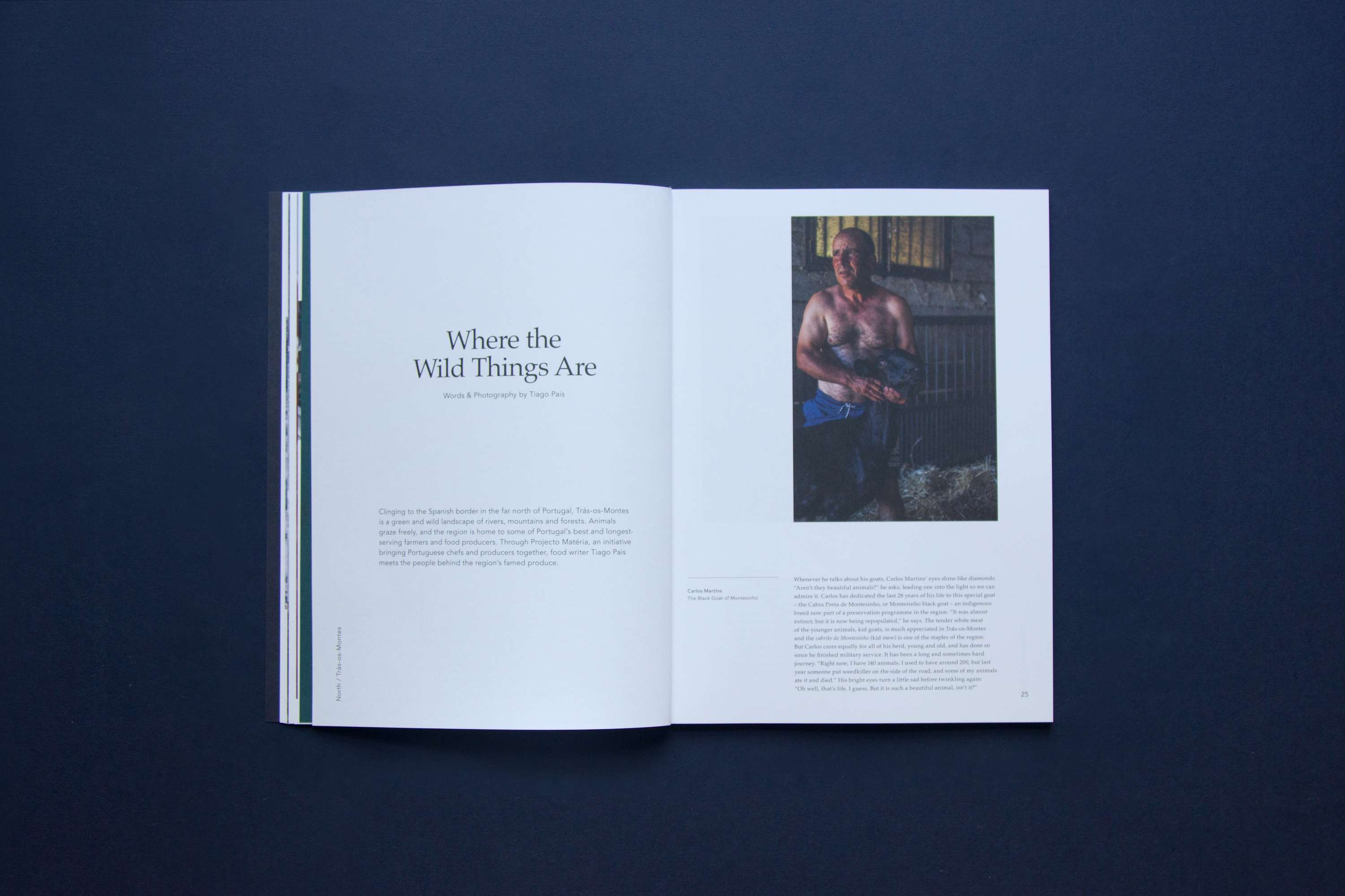 Above Sea Level by Lucy Murray Willis