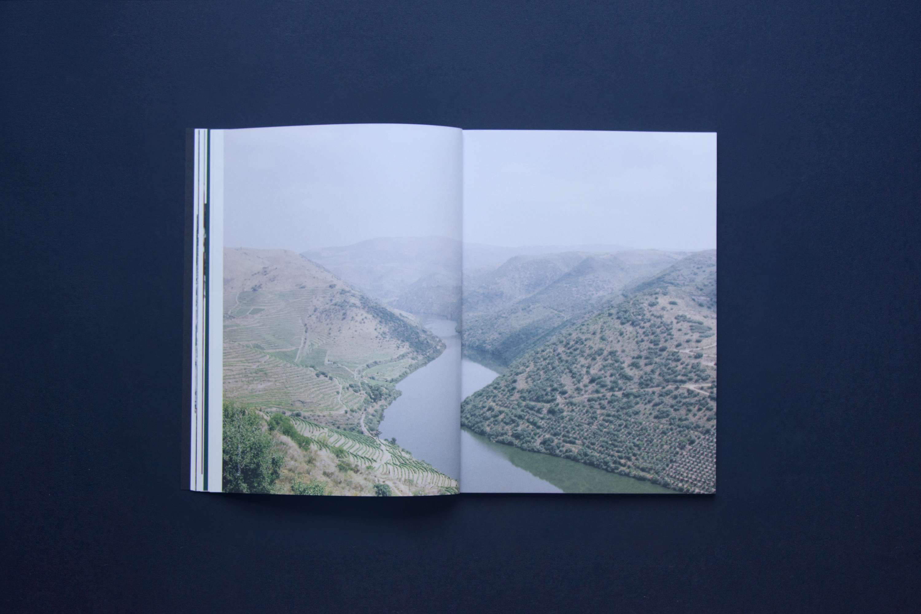 Above Sea Level by Lucy Murray Willis