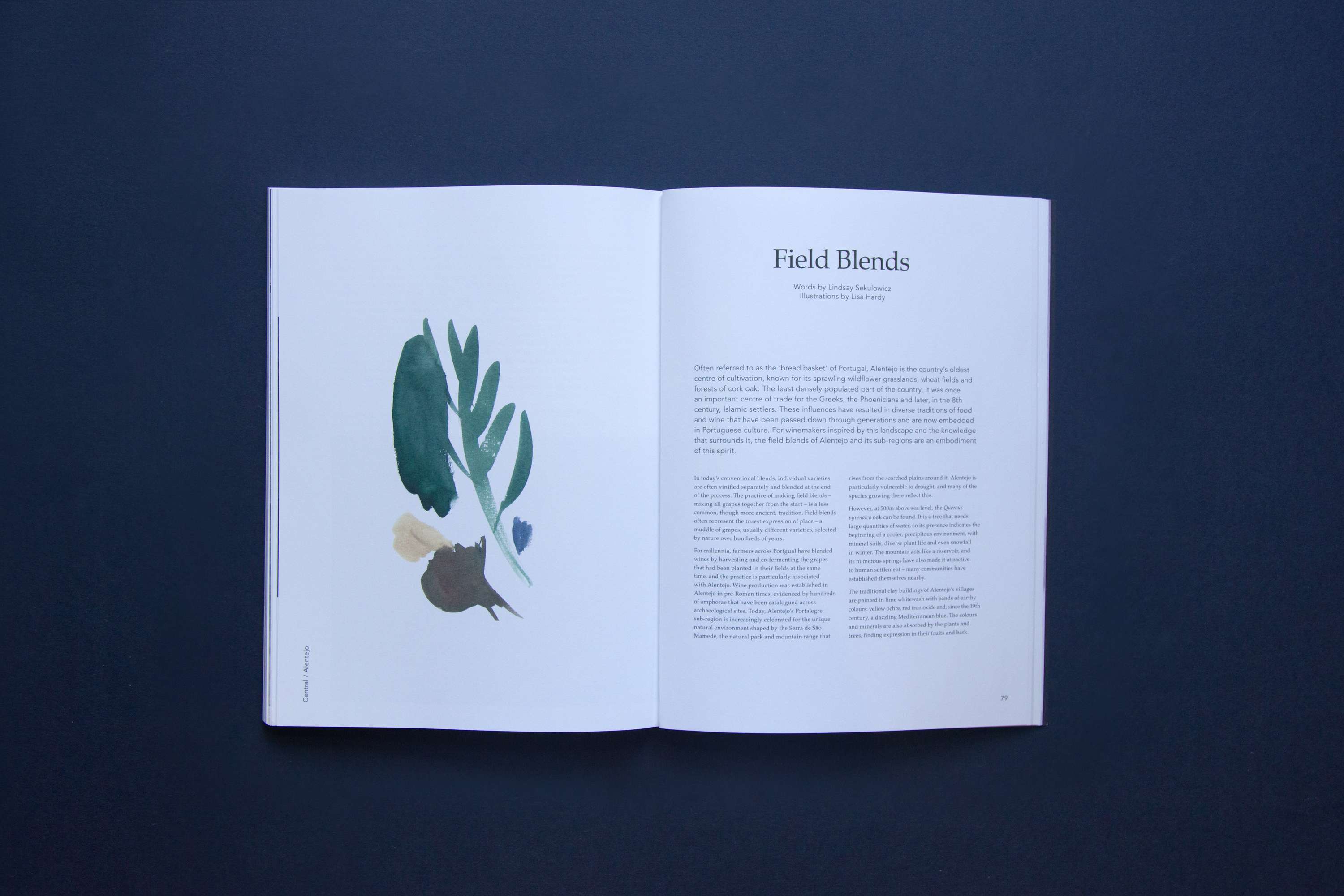 Above Sea Level by Lucy Murray Willis