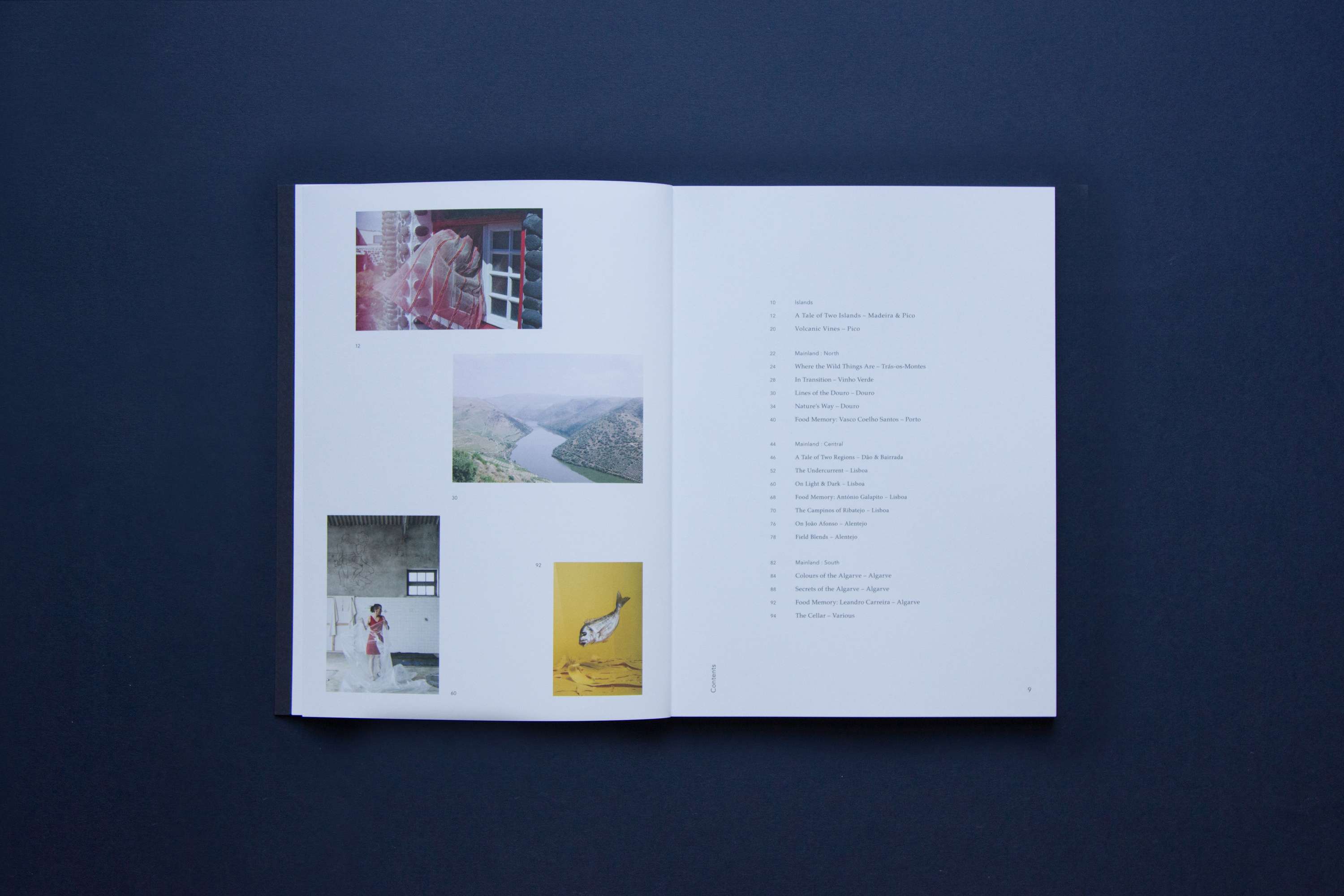 Above Sea Level by Lucy Murray Willis