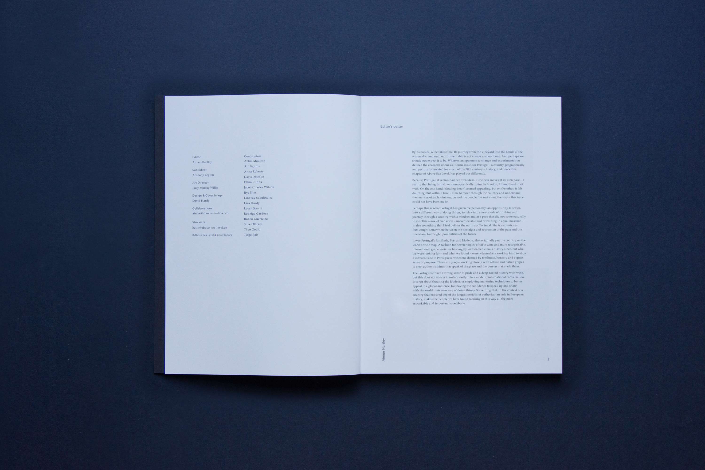 Above Sea Level by Lucy Murray Willis