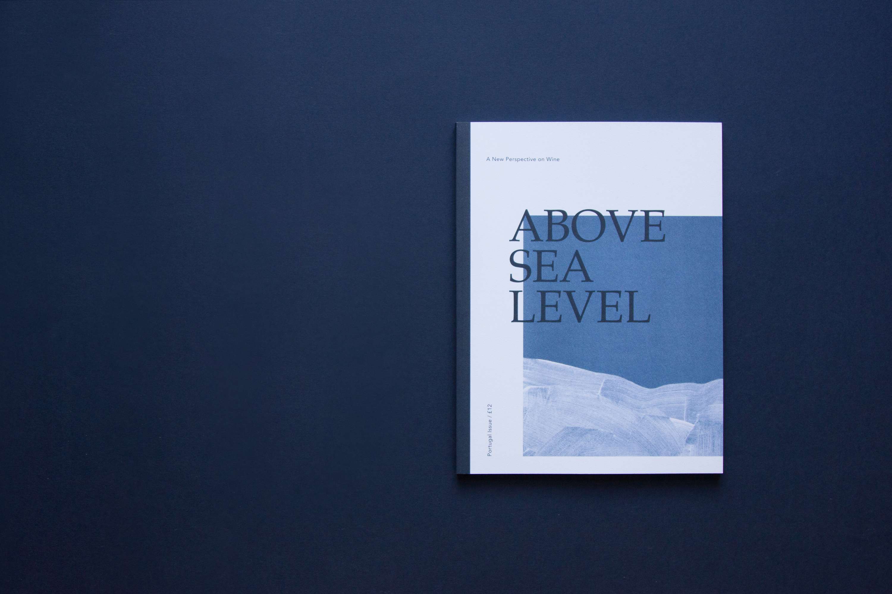 Above Sea Level by Lucy Murray Willis