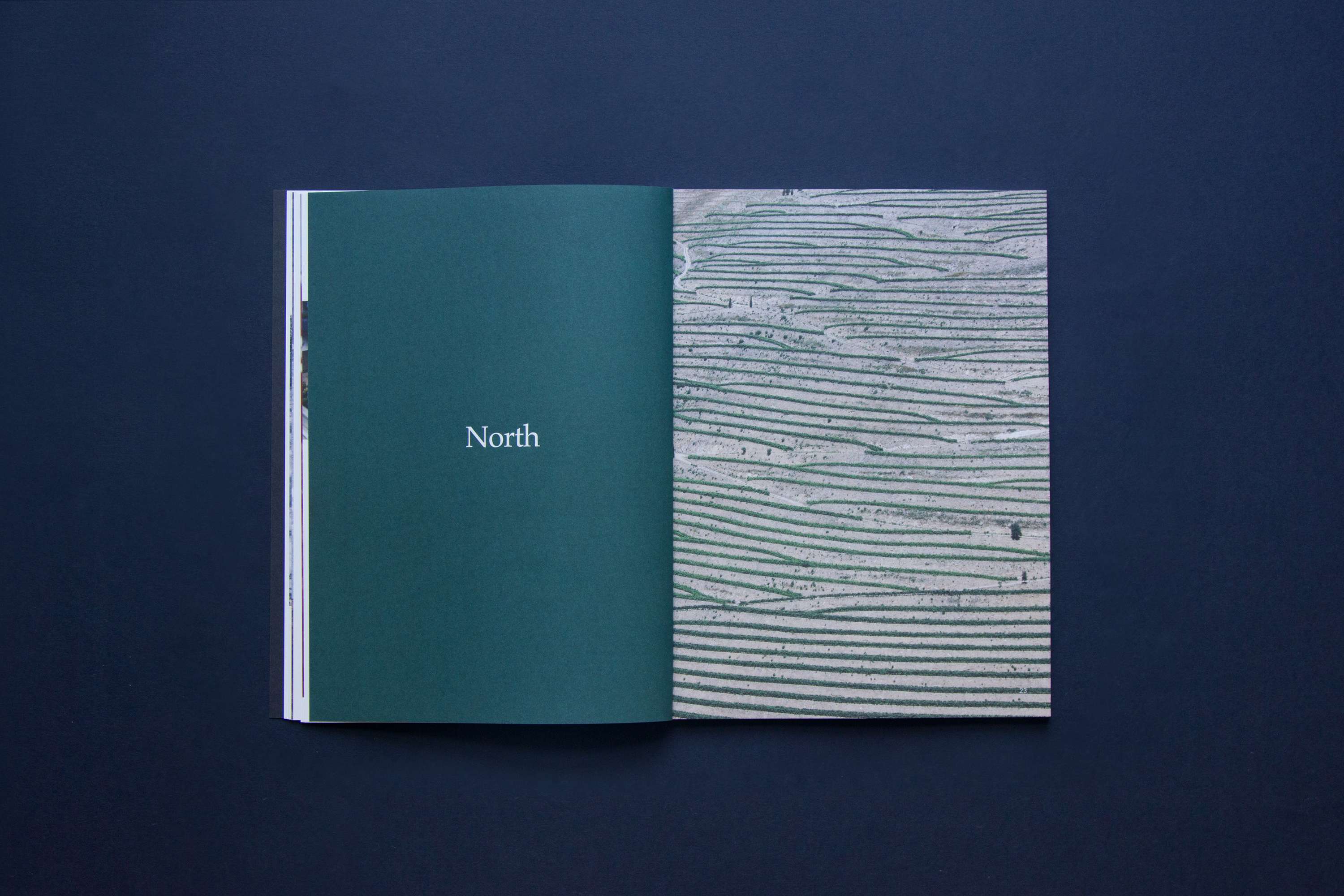 Above Sea Level by Lucy Murray Willis