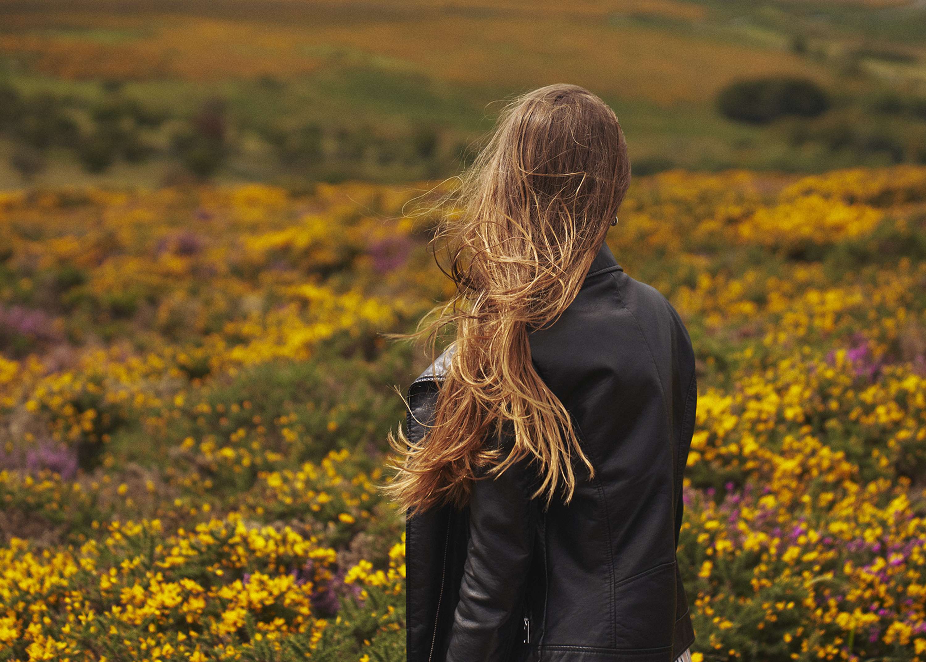 Dartmoor by Mark Sherratt