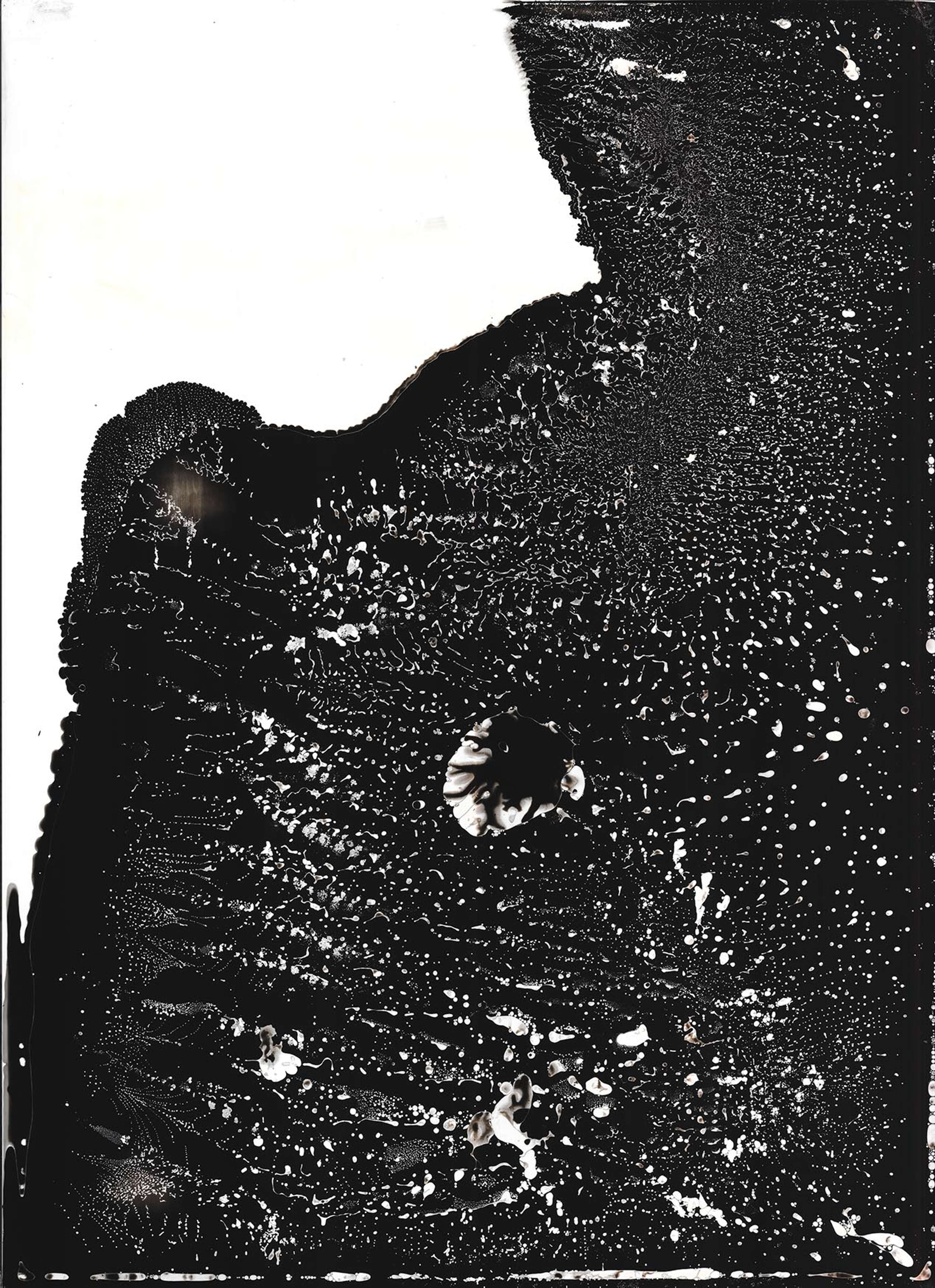 TRACE by Ellie Pargeter