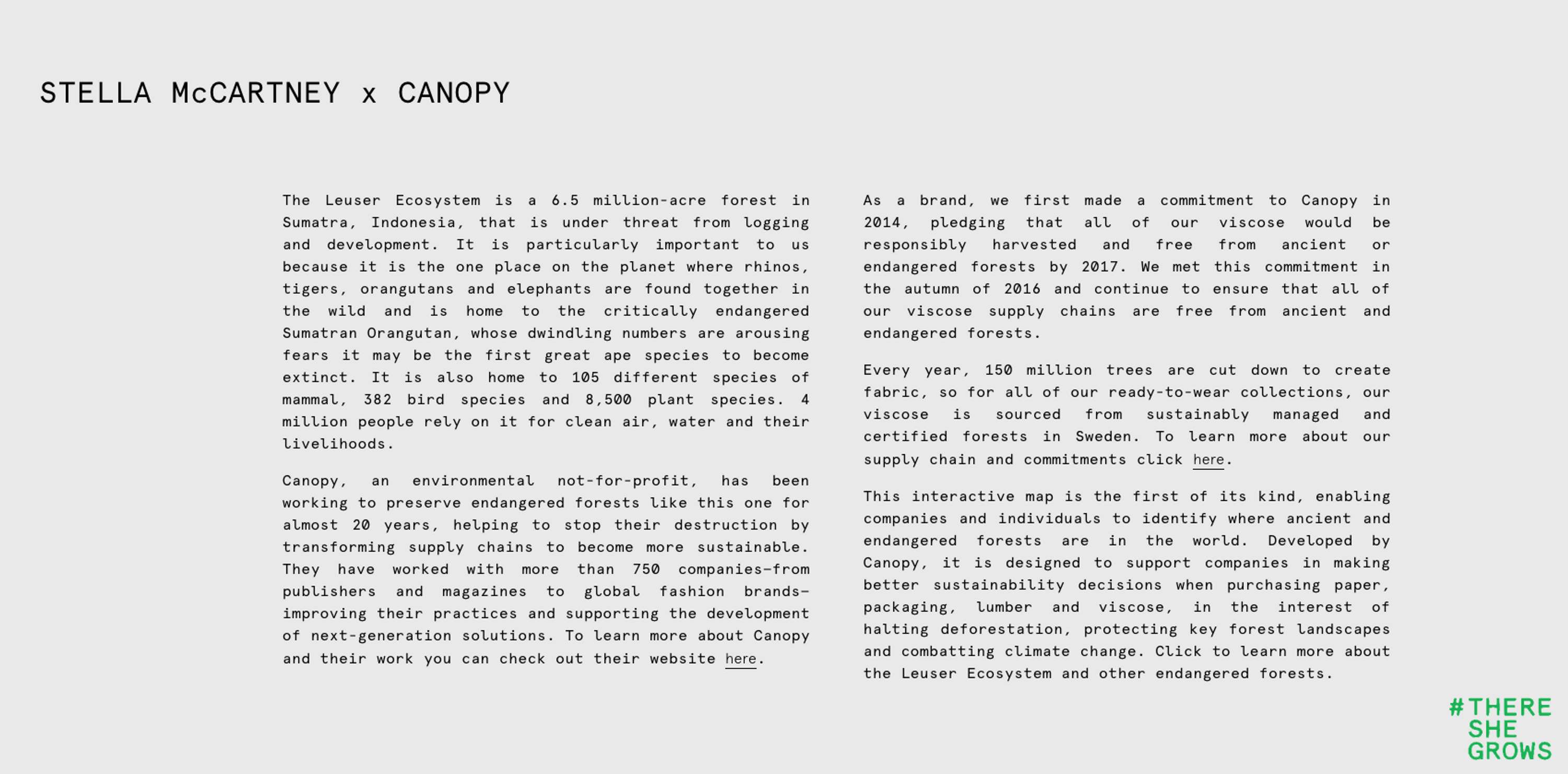 Stella McCartney X Canopy #ThereSheGrows Sustainability Campaign