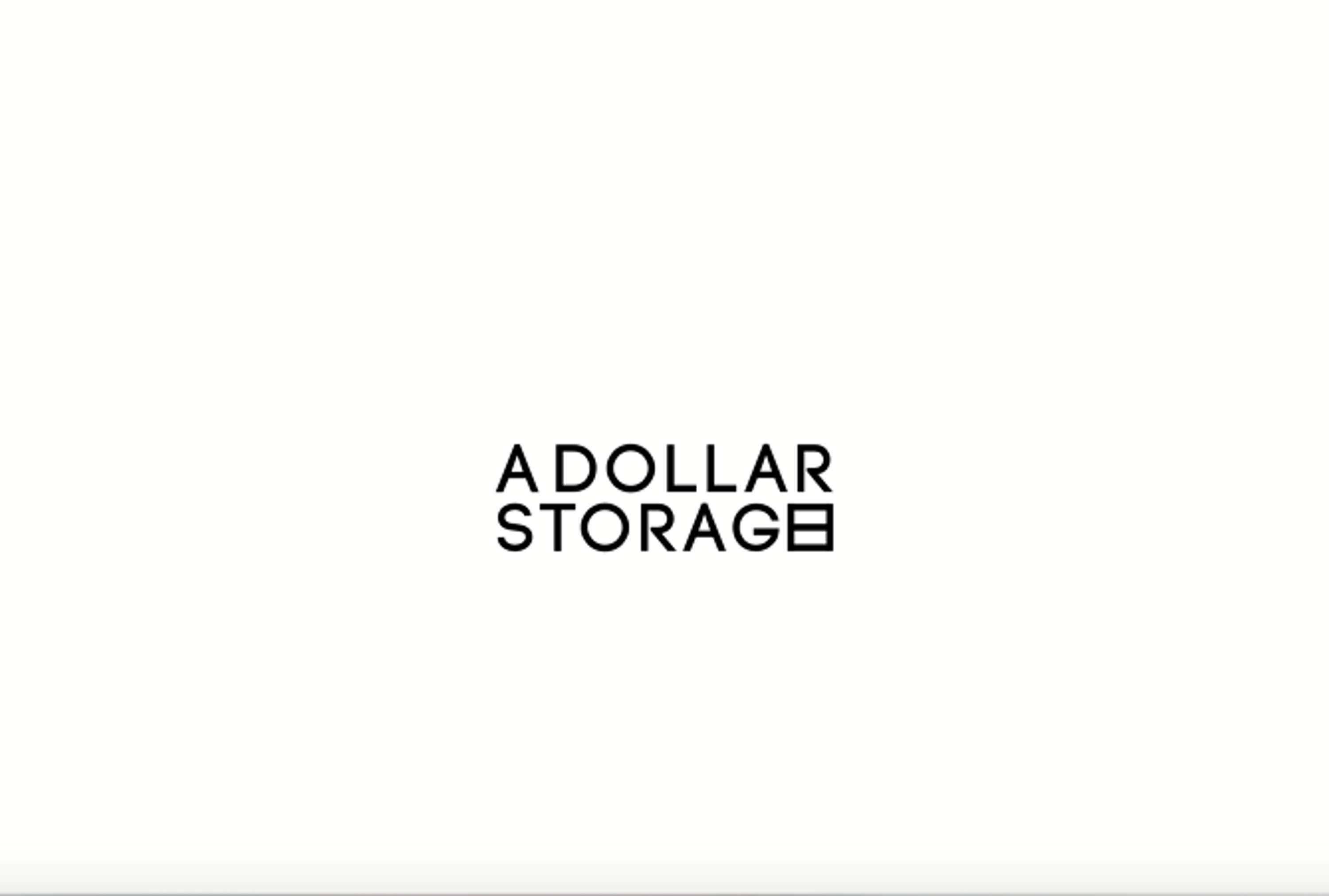 A Dollar Store by Amy Datnow