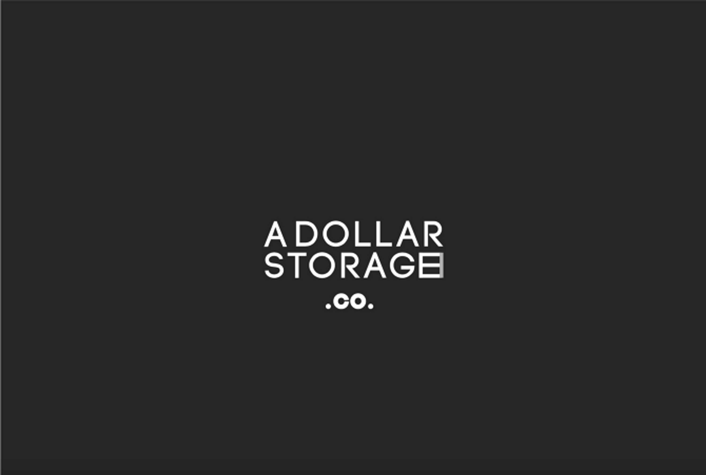 A Dollar Store by Amy Datnow