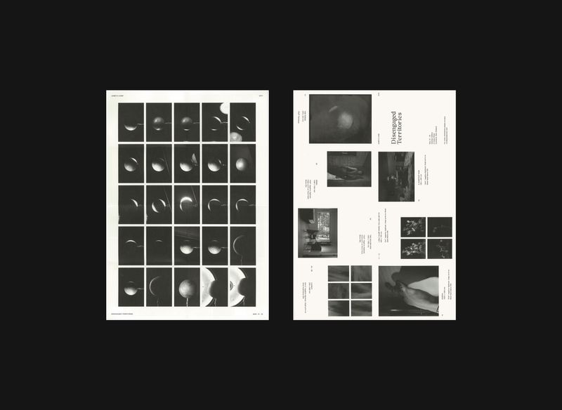 Disengaged Territories by Nicole Miller-Wong
