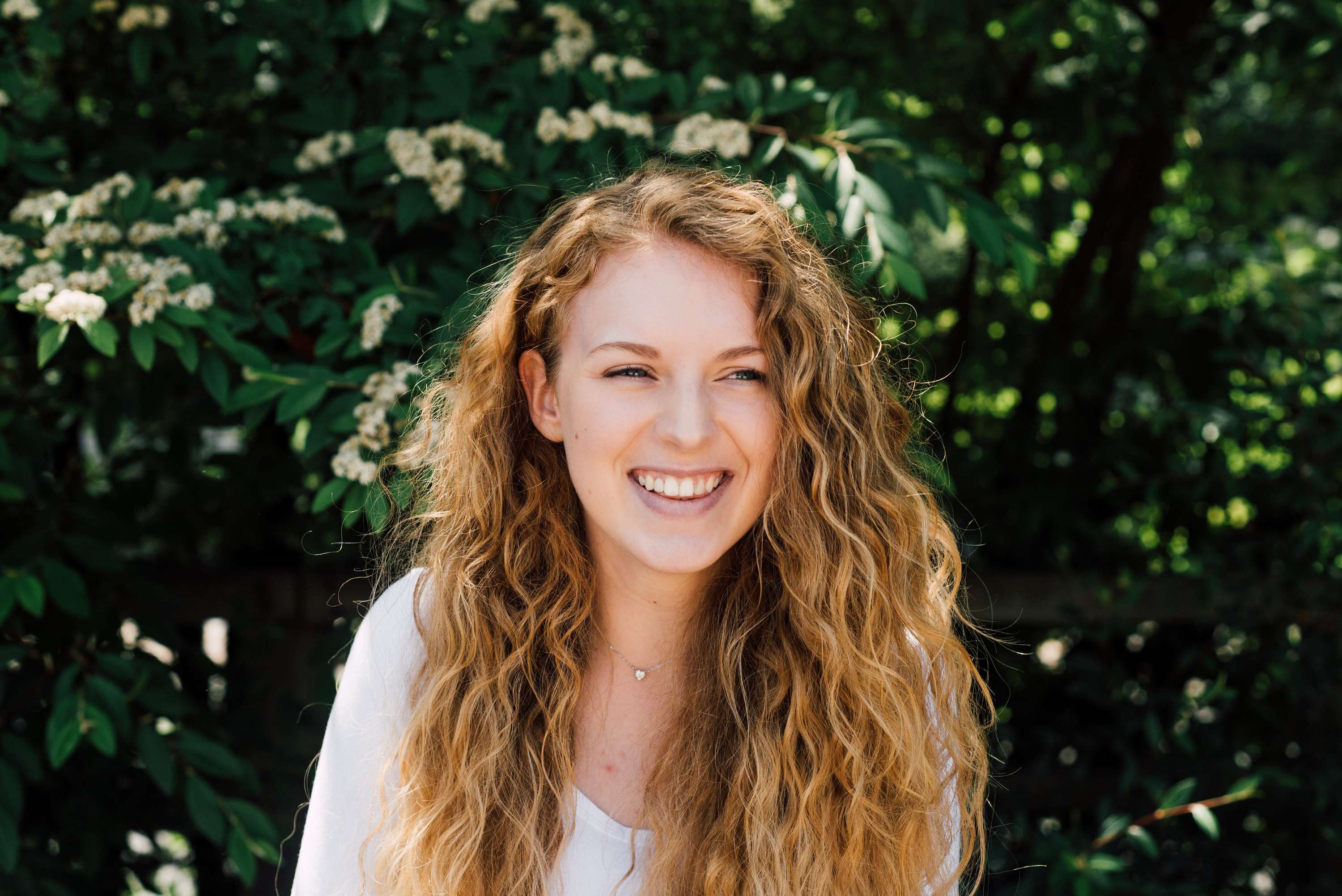 Goldilocks by Brandy Mongoy