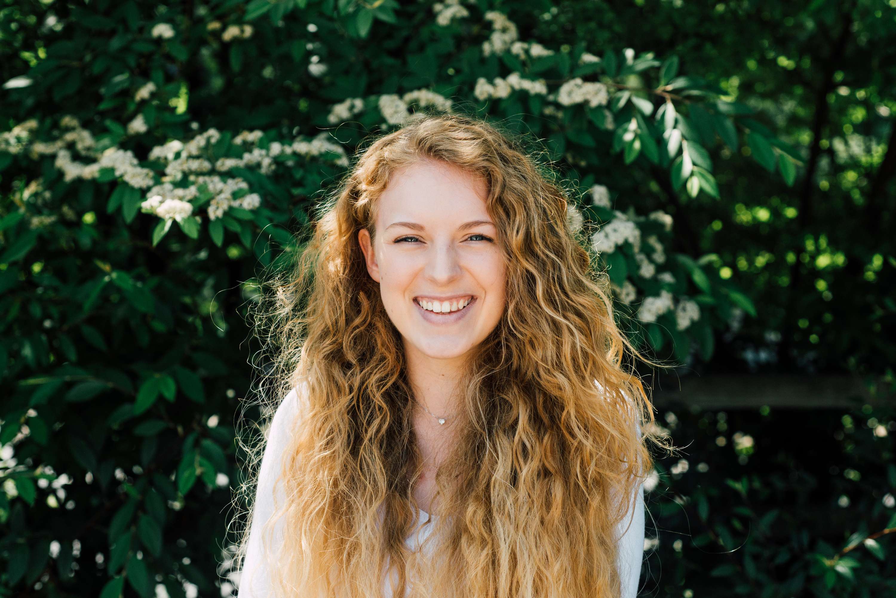 Goldilocks by Brandy Mongoy