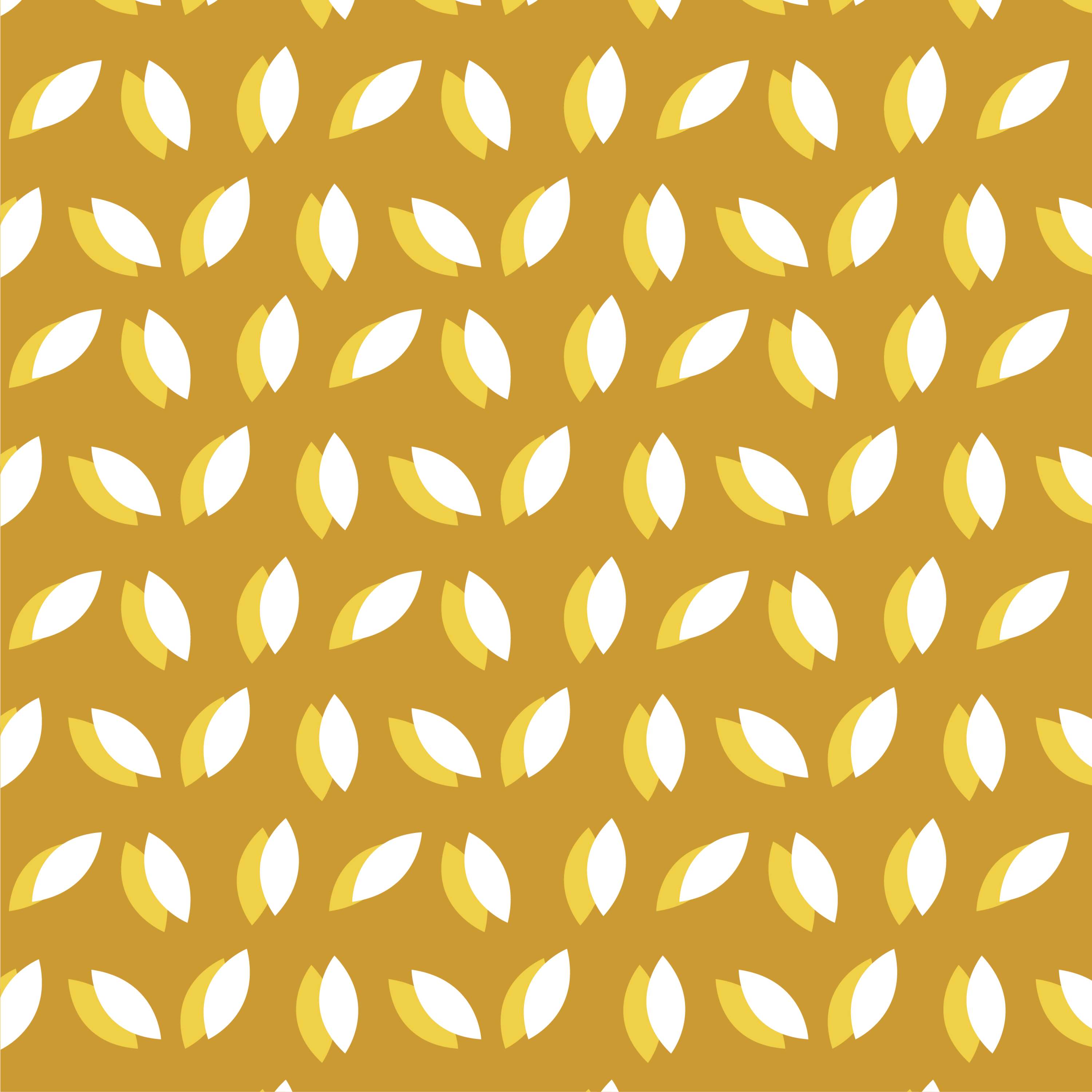 Re-brand project by Laura Angus