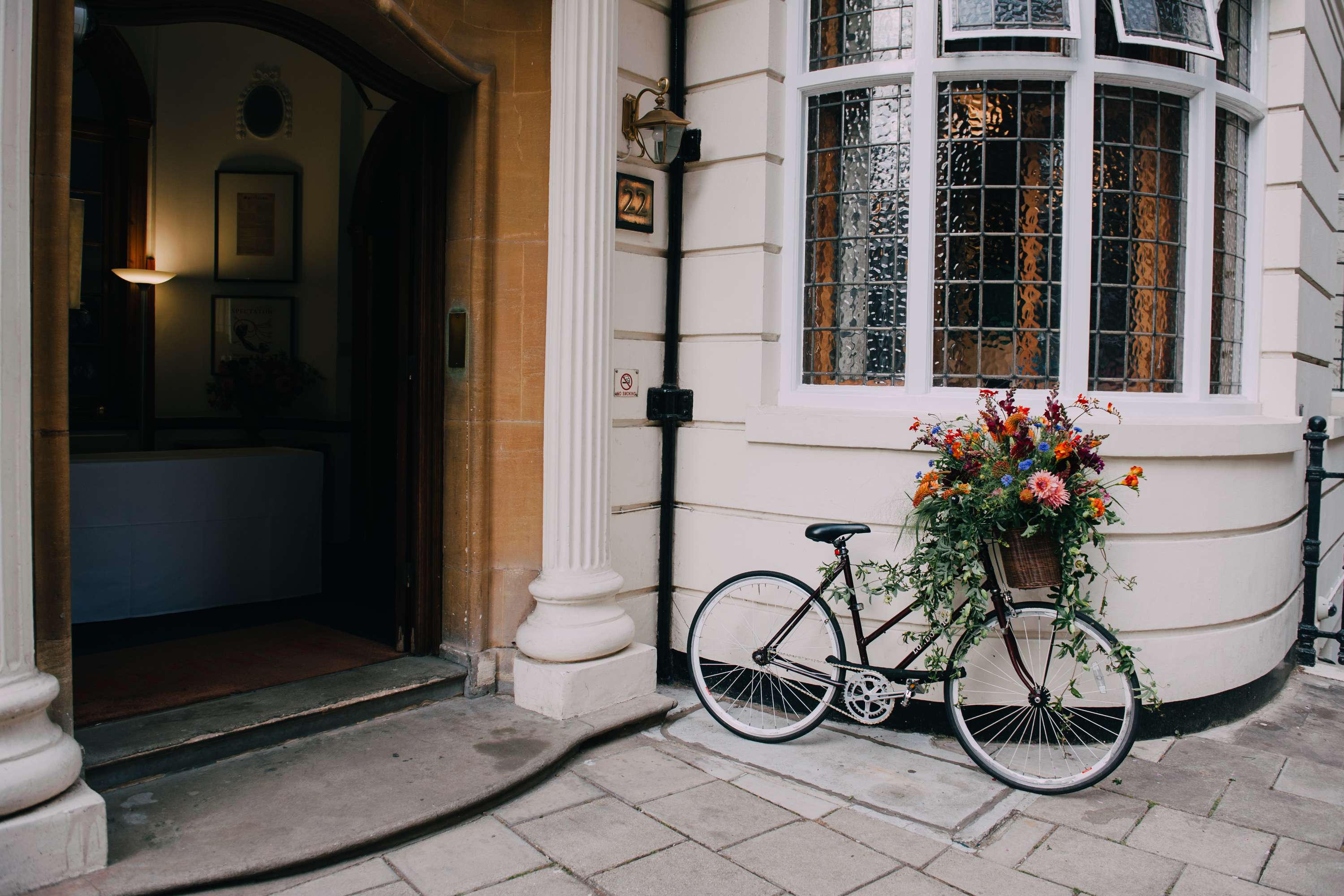 The Spectator at Home by Leah Herlihy