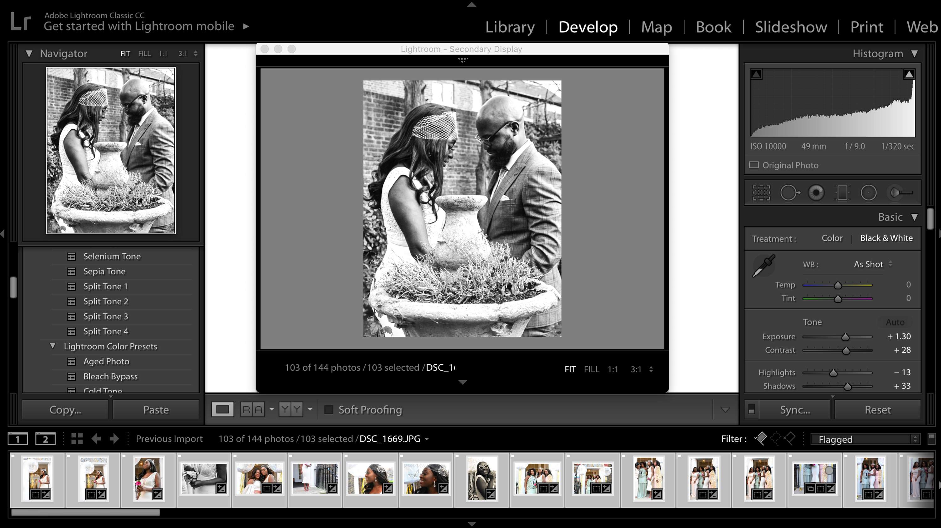 Digital  Photography Client Gallery Development - User Interface Design by Carmen Gowie
