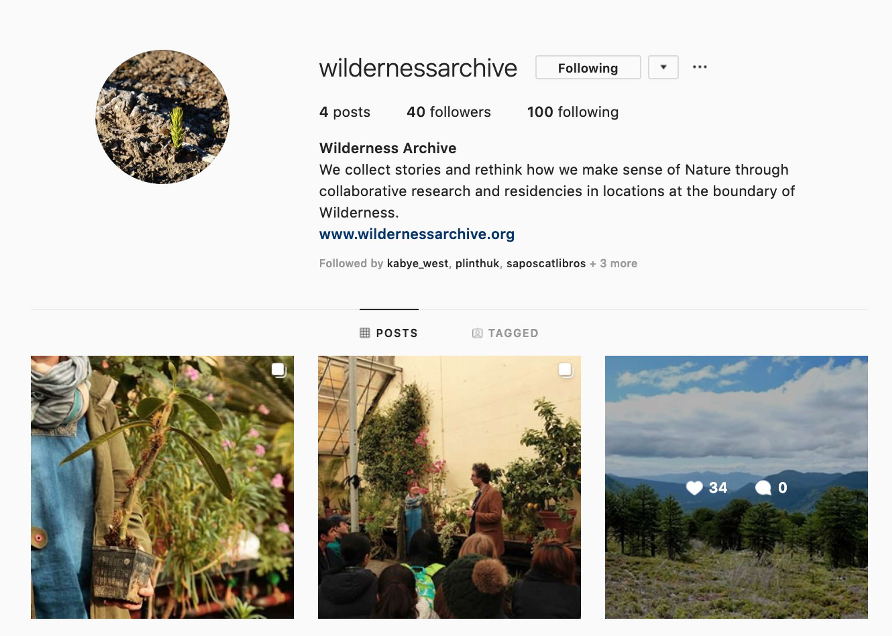 Wilderness Archive by Claire McQue