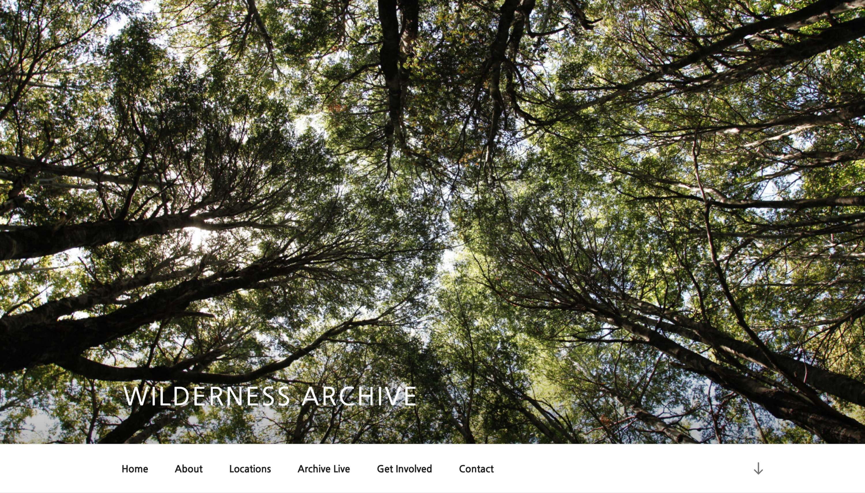Wilderness Archive by Claire McQue