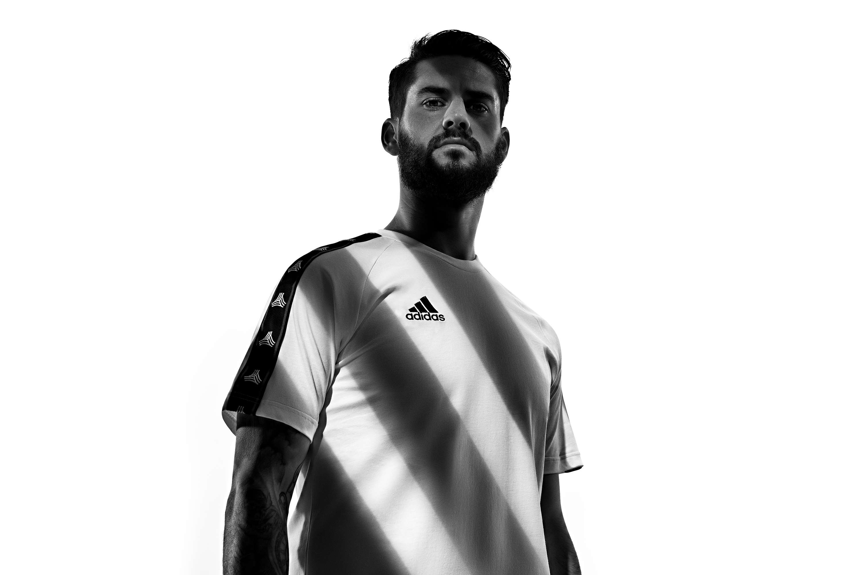 Magisco by Jack Greenwood