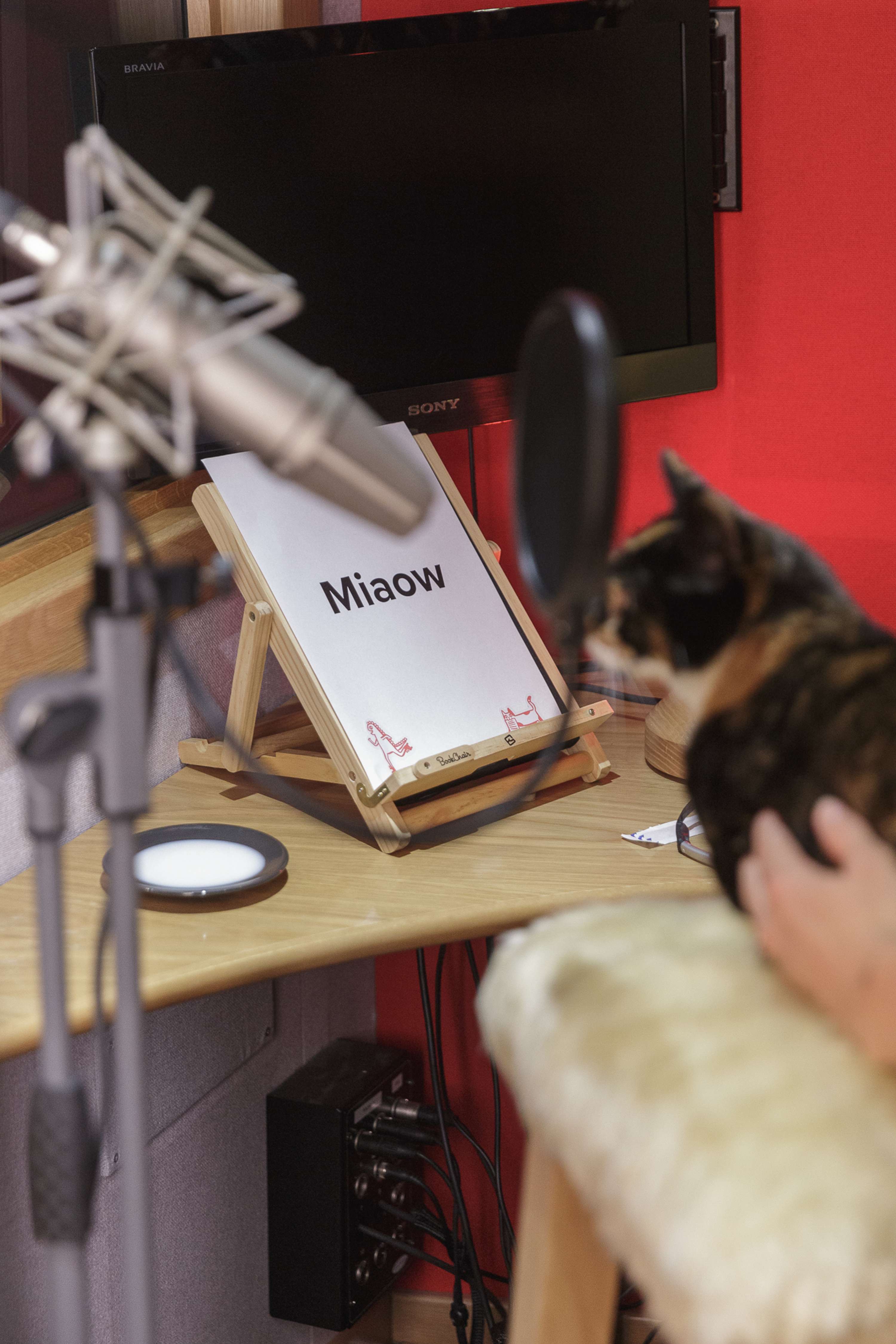 The world’s first miaowing debit card by ANNA Money