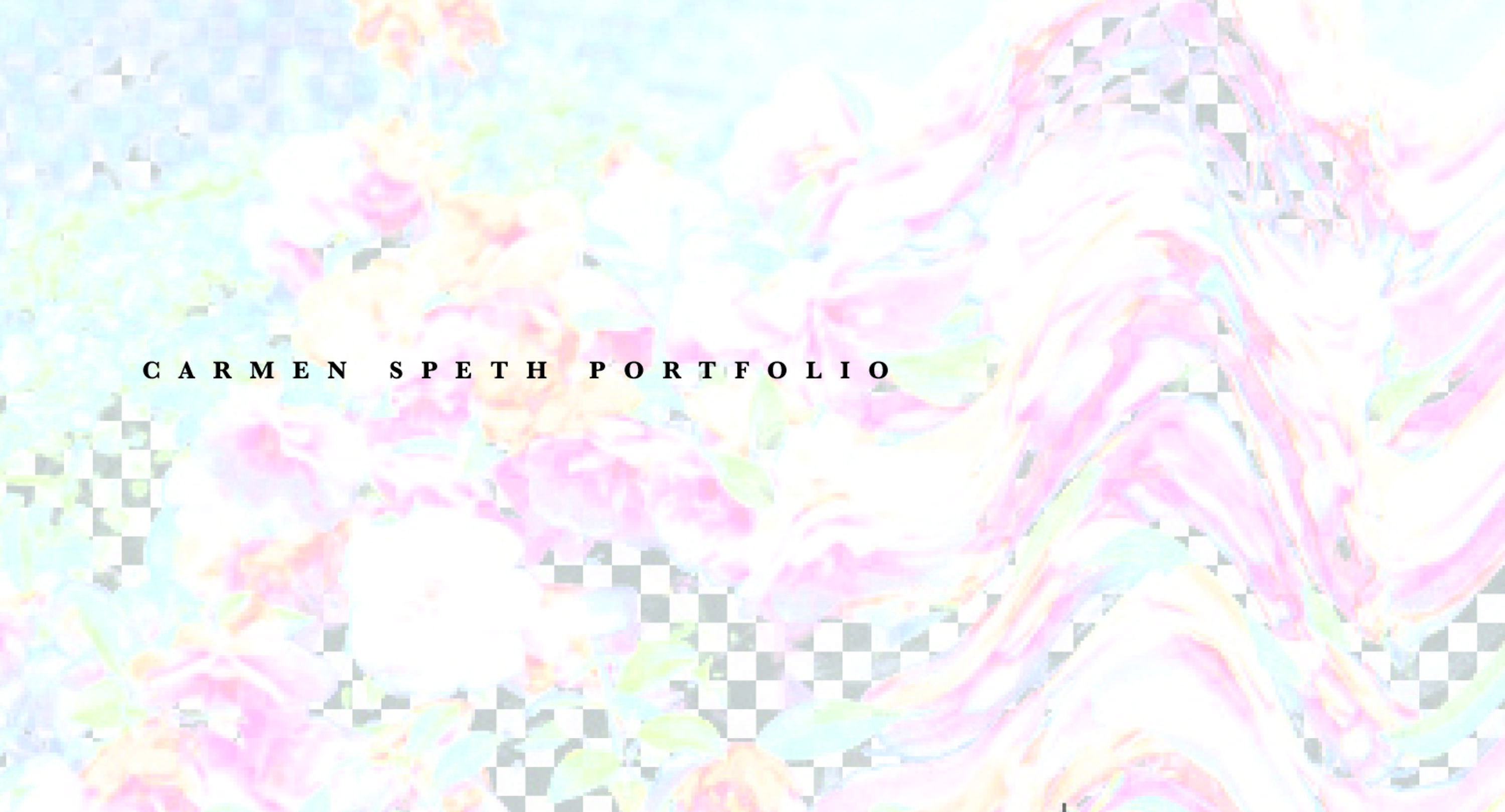 PORTFOLIO by carmen speth