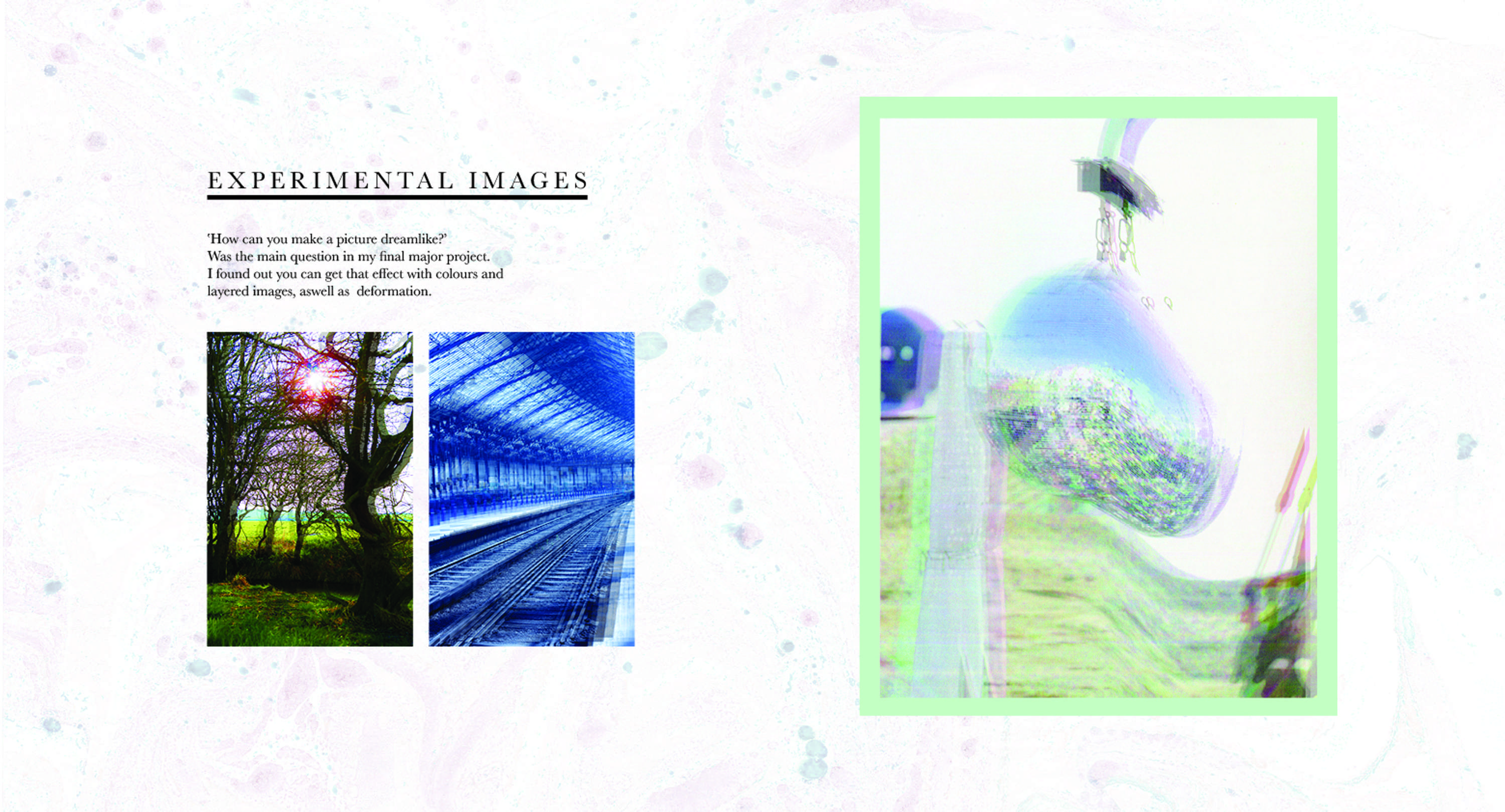 PORTFOLIO by carmen speth