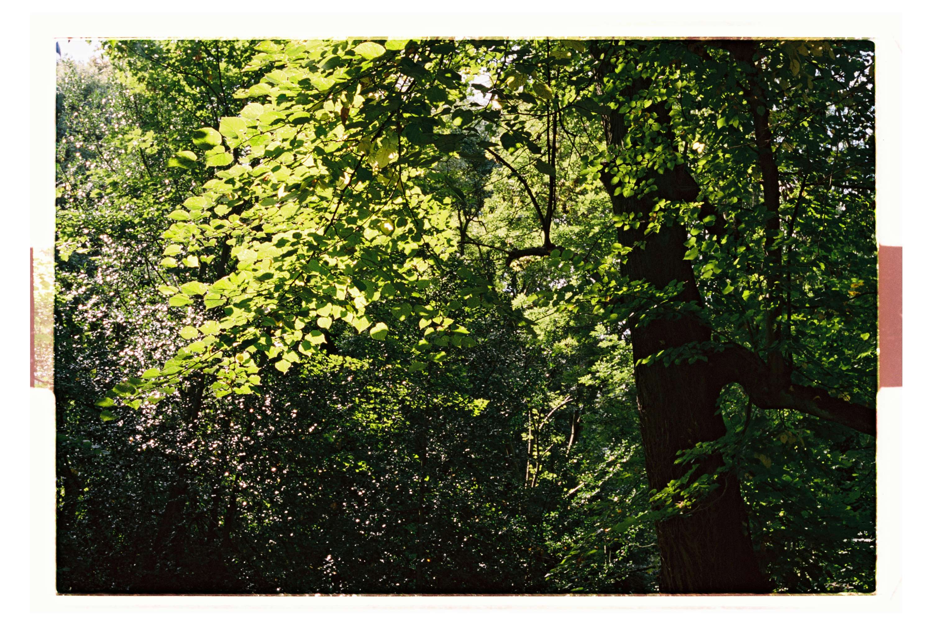 Let's Get Lost by Susanna Grant